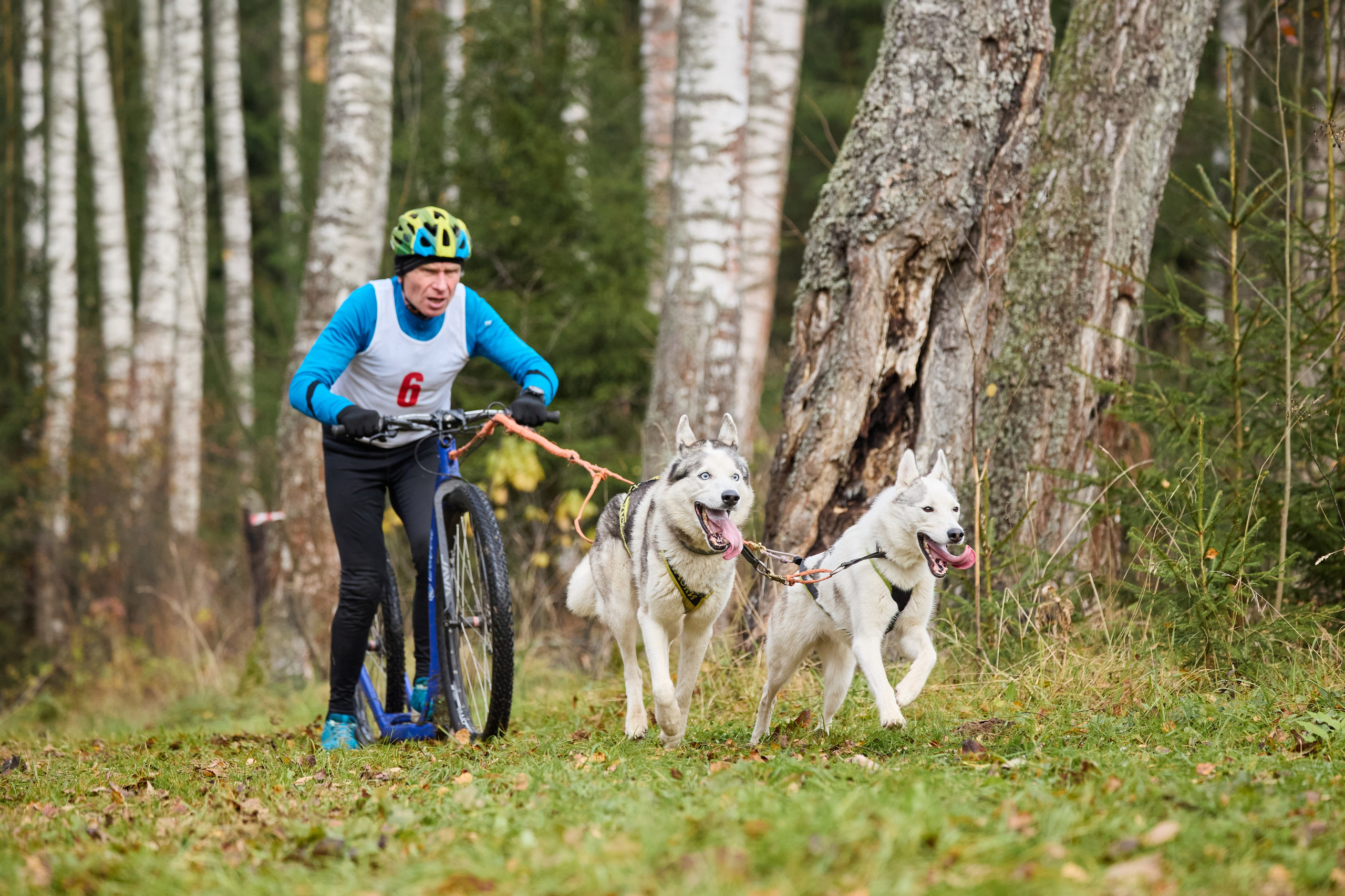 Чемпионат по ЕС Ярославской области. Фотограф Ирина Астор