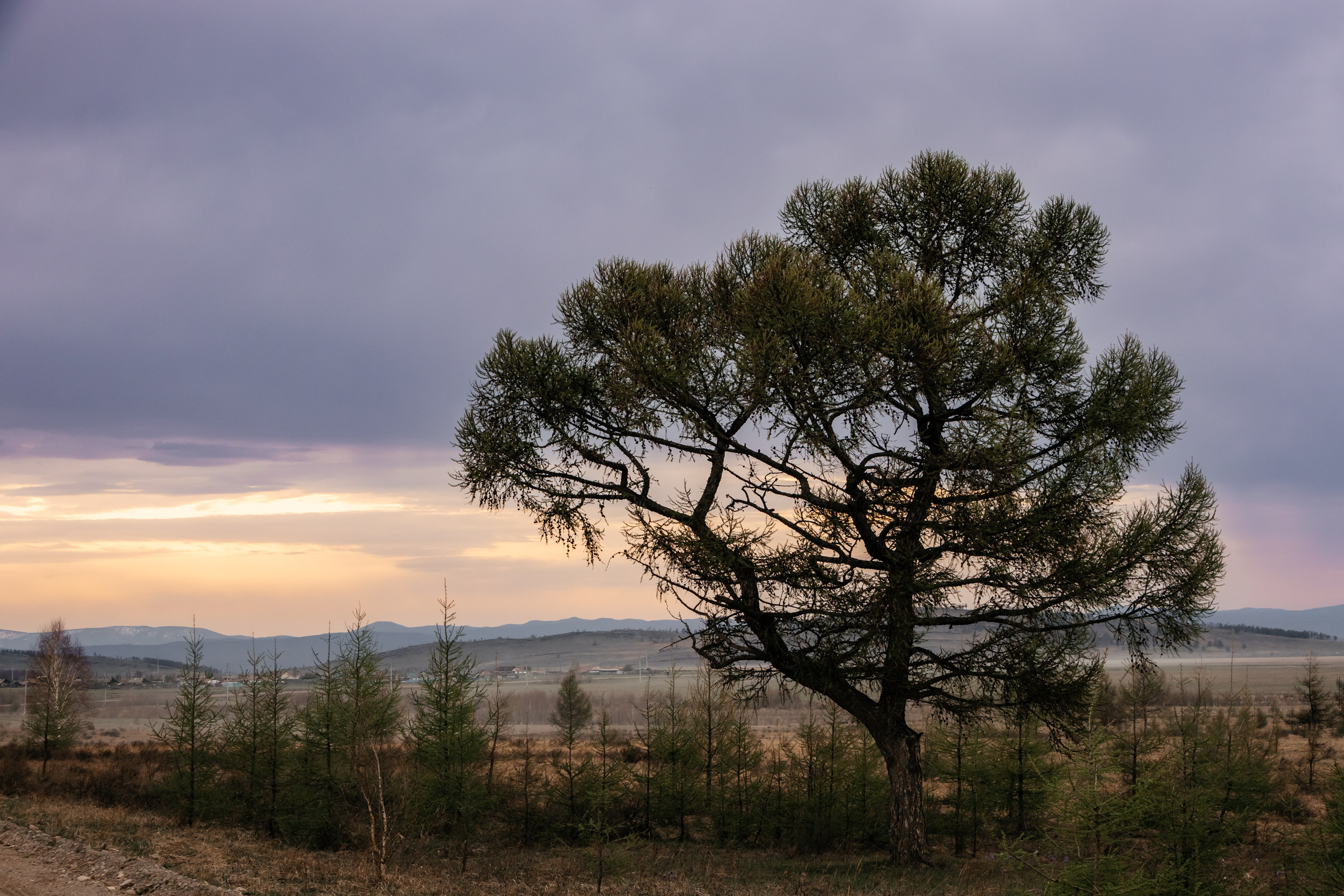 Хакассия. Фотограф в Красноярске Оксана Корчагина