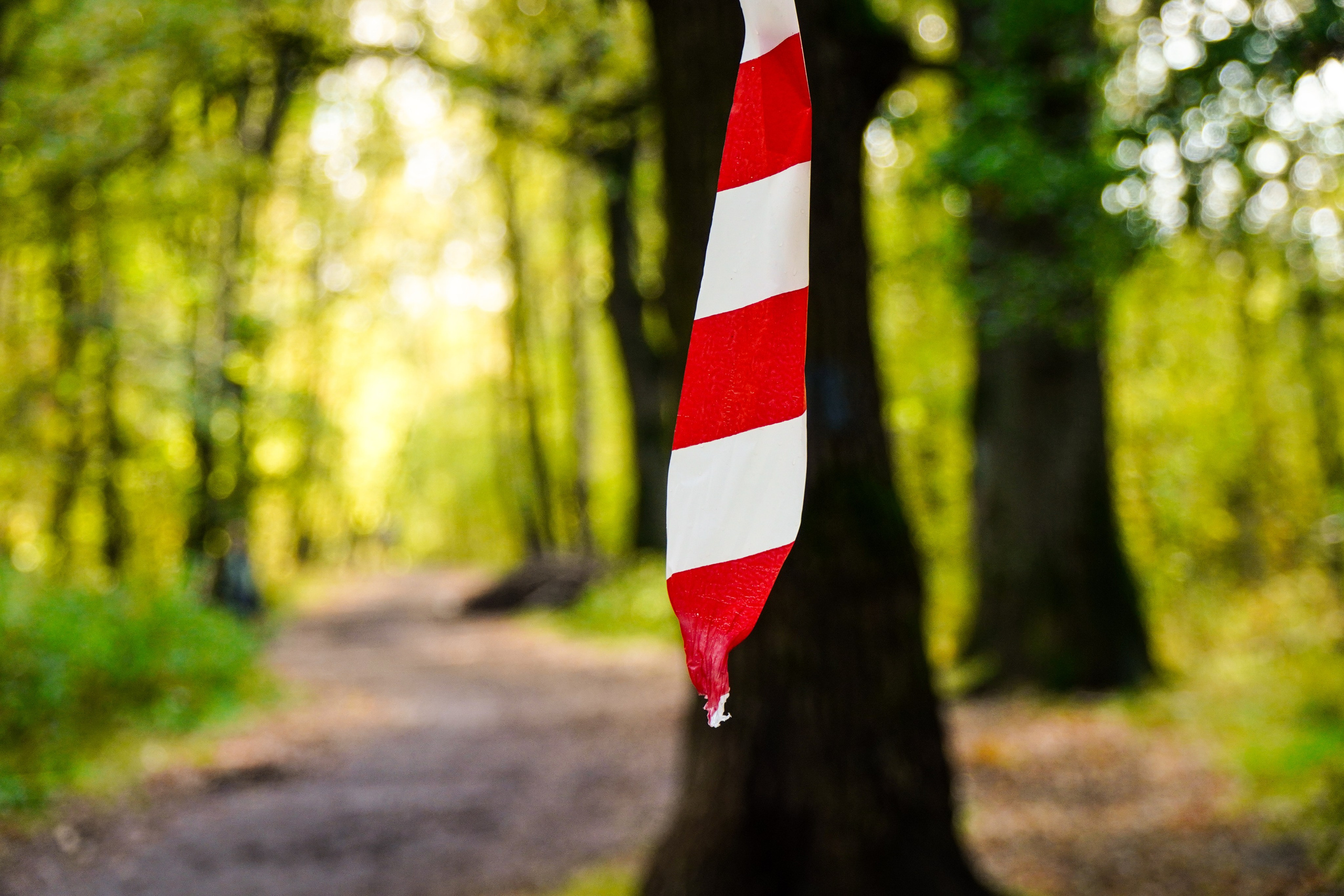 Backyard Ultra Moscow 2024. Роман Капилюшов. Бег. Фото. Видео. г. Люберцы