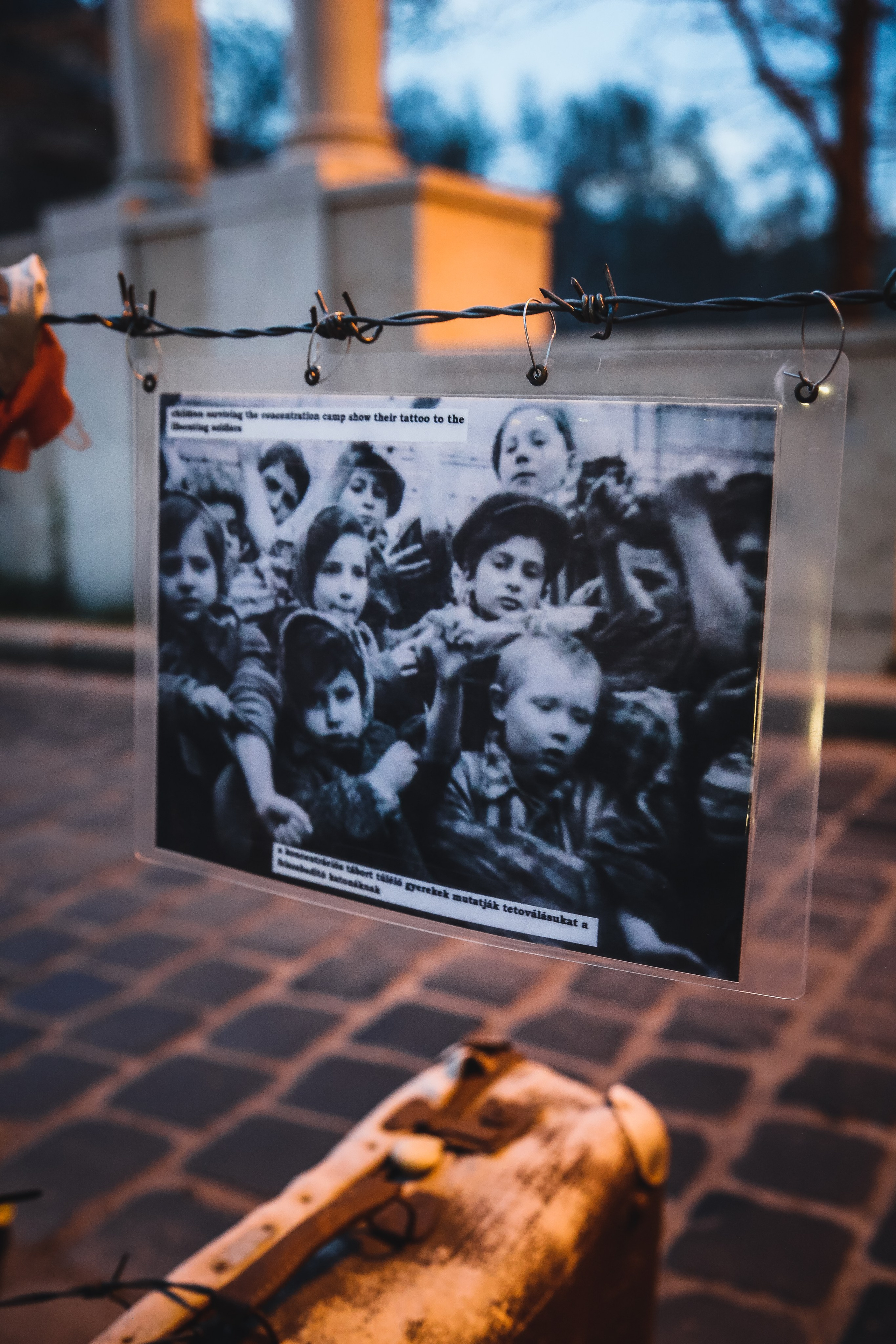 Венгрия: Еврейский Будапешт. Дарья Письменюк / Darya Leitstern — фотограф, музыкант, журналист, путешественник