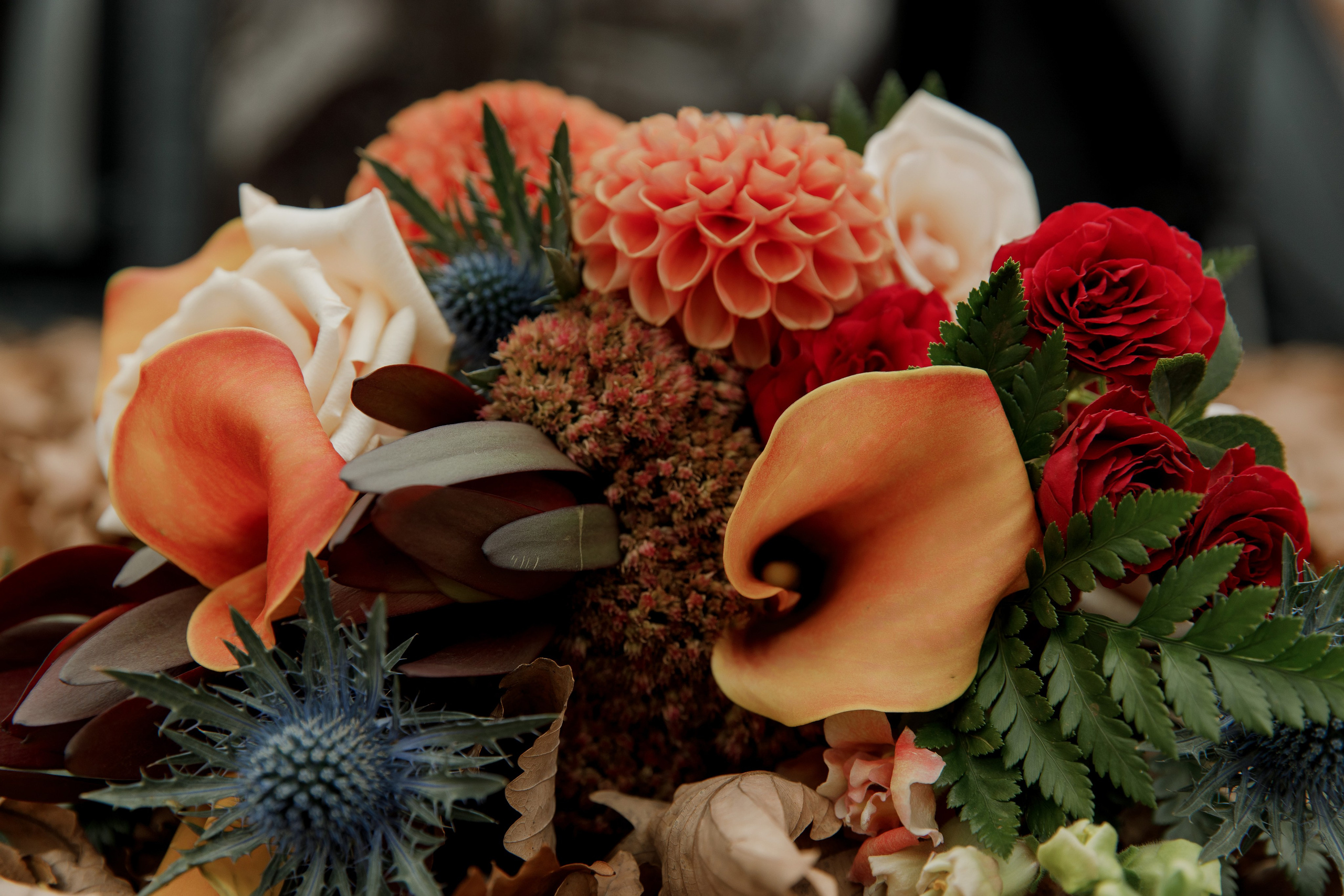 Анна и Юрий. Свадебный и семейный фотограф  во Владивостоке Ольга Украинец