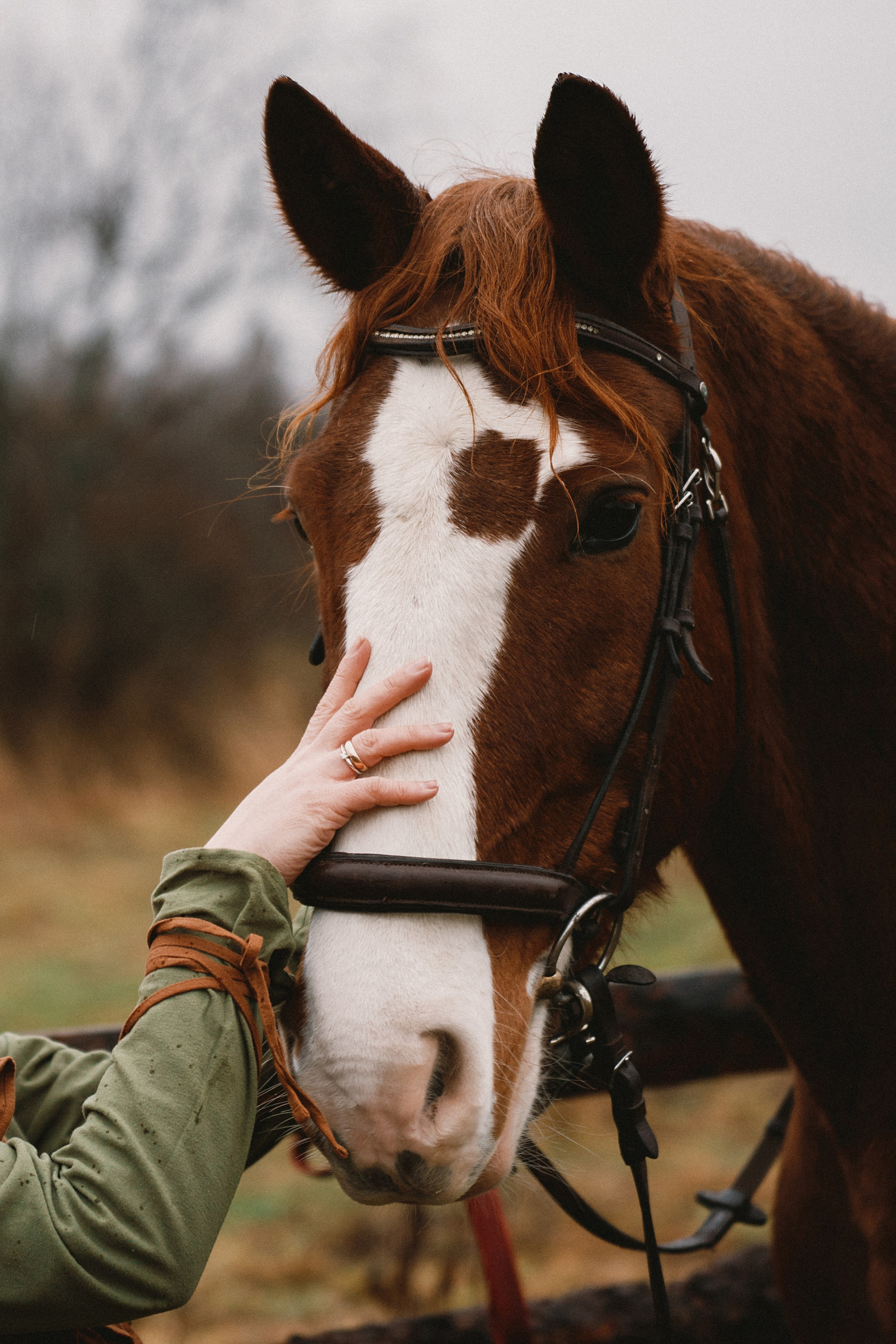 Конные. Главная