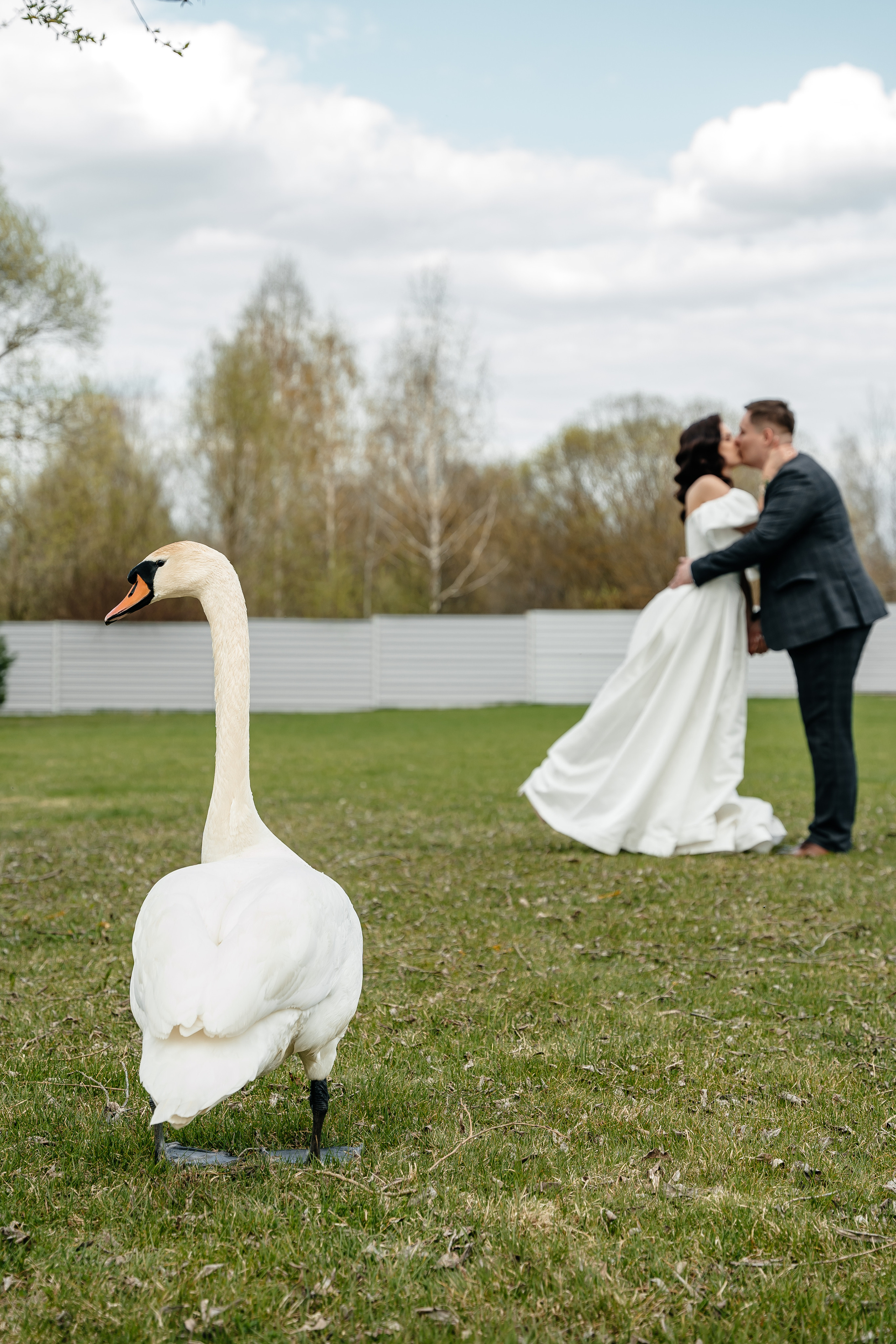 История Дарьи и Максима. Свадебный Фотограф Минск || Фото и Видеосъёмка Минск || Другие города