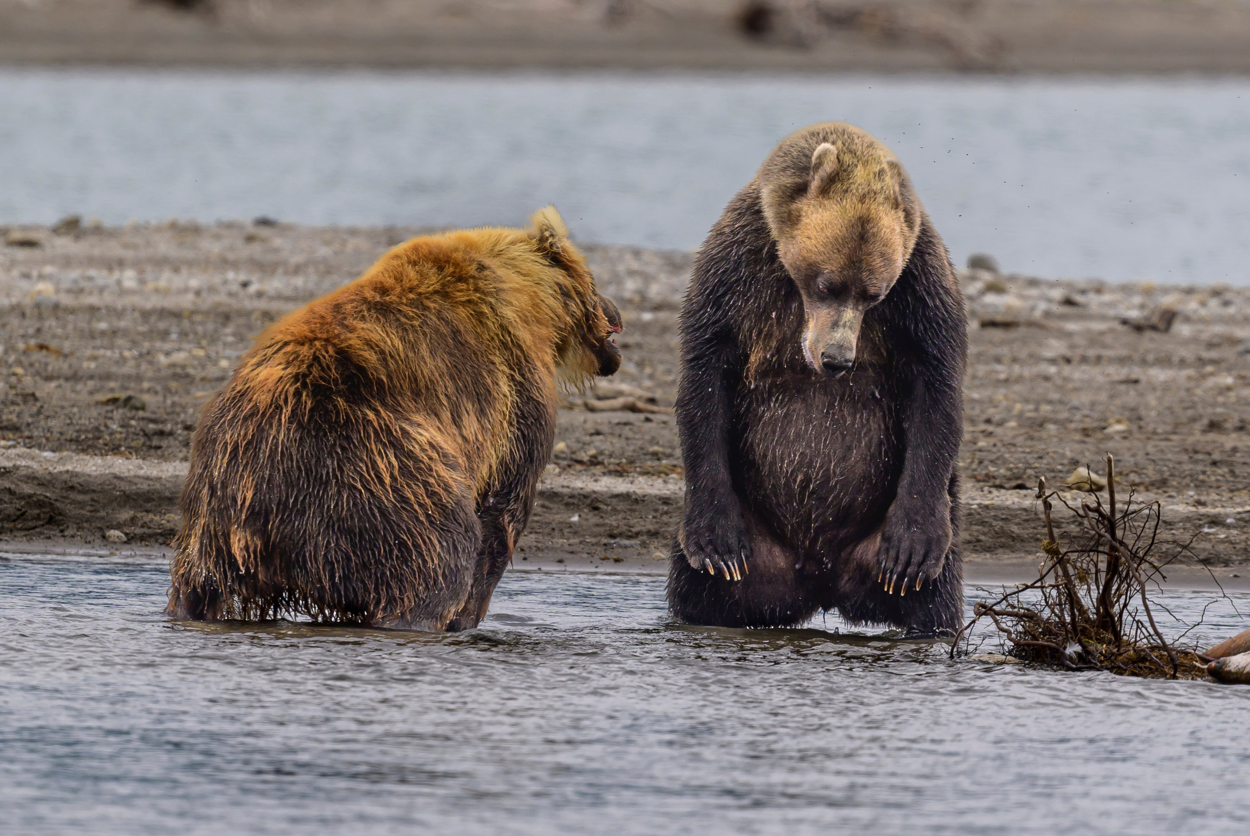 Фотограф Сергей Пупонин