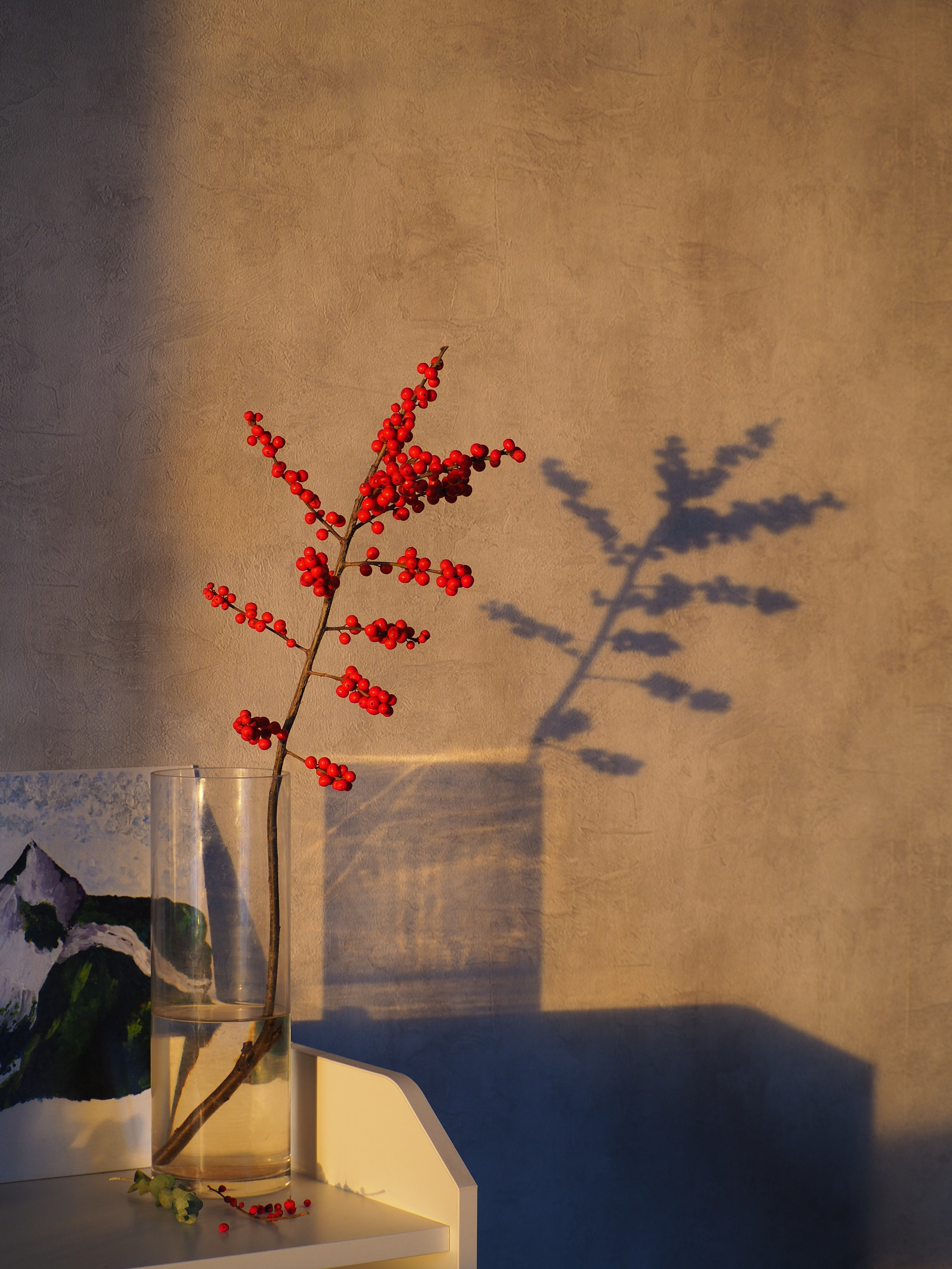 Цветы Fern Decor. Фотограф в Новосибирске Александра Сапожникова @rruprrup