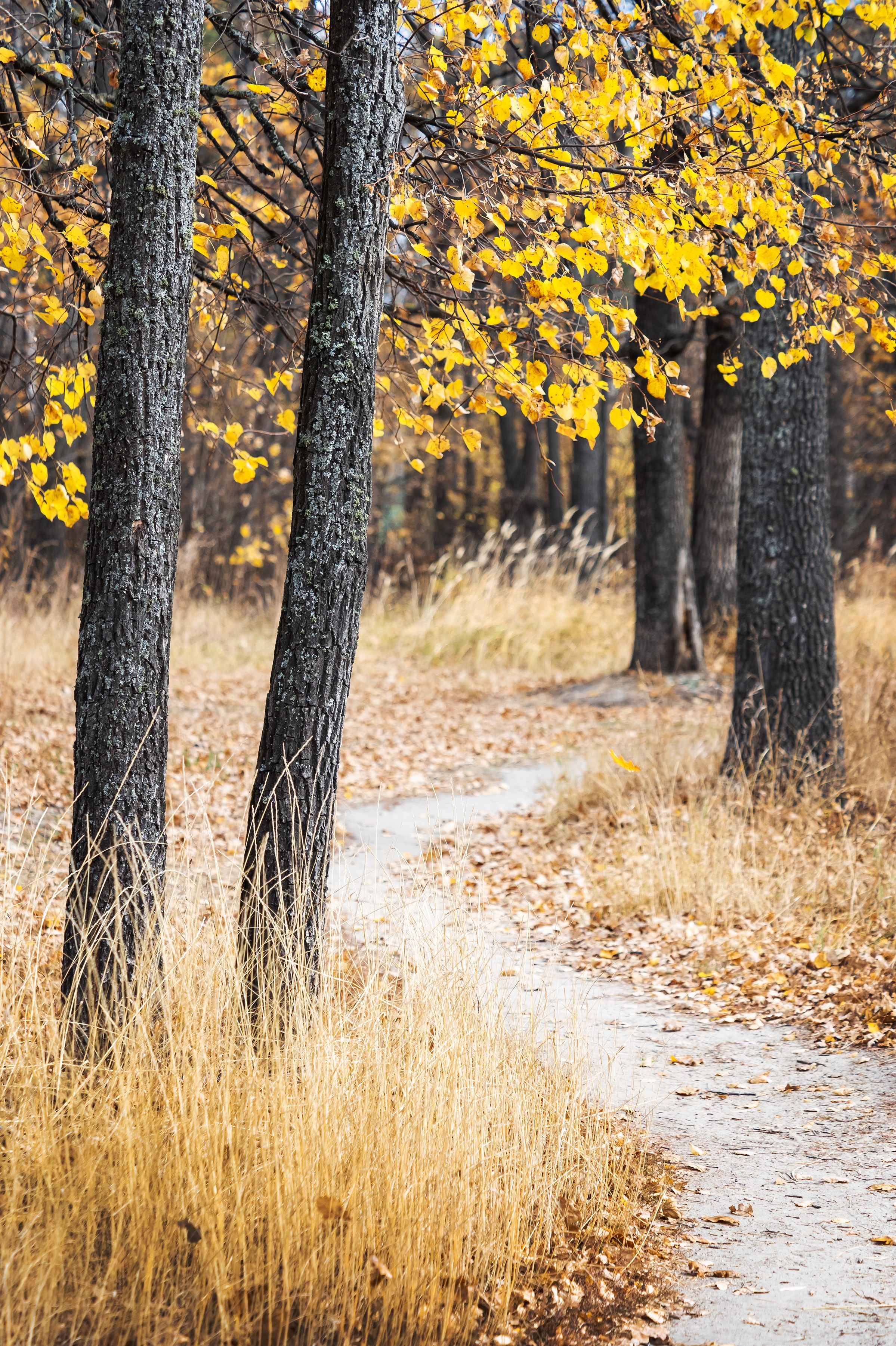Красота Заречного. Репортажный, семейный и детский фотограф в Пензе и Заречном Арина Ермилова. Картины барельеф на заказ