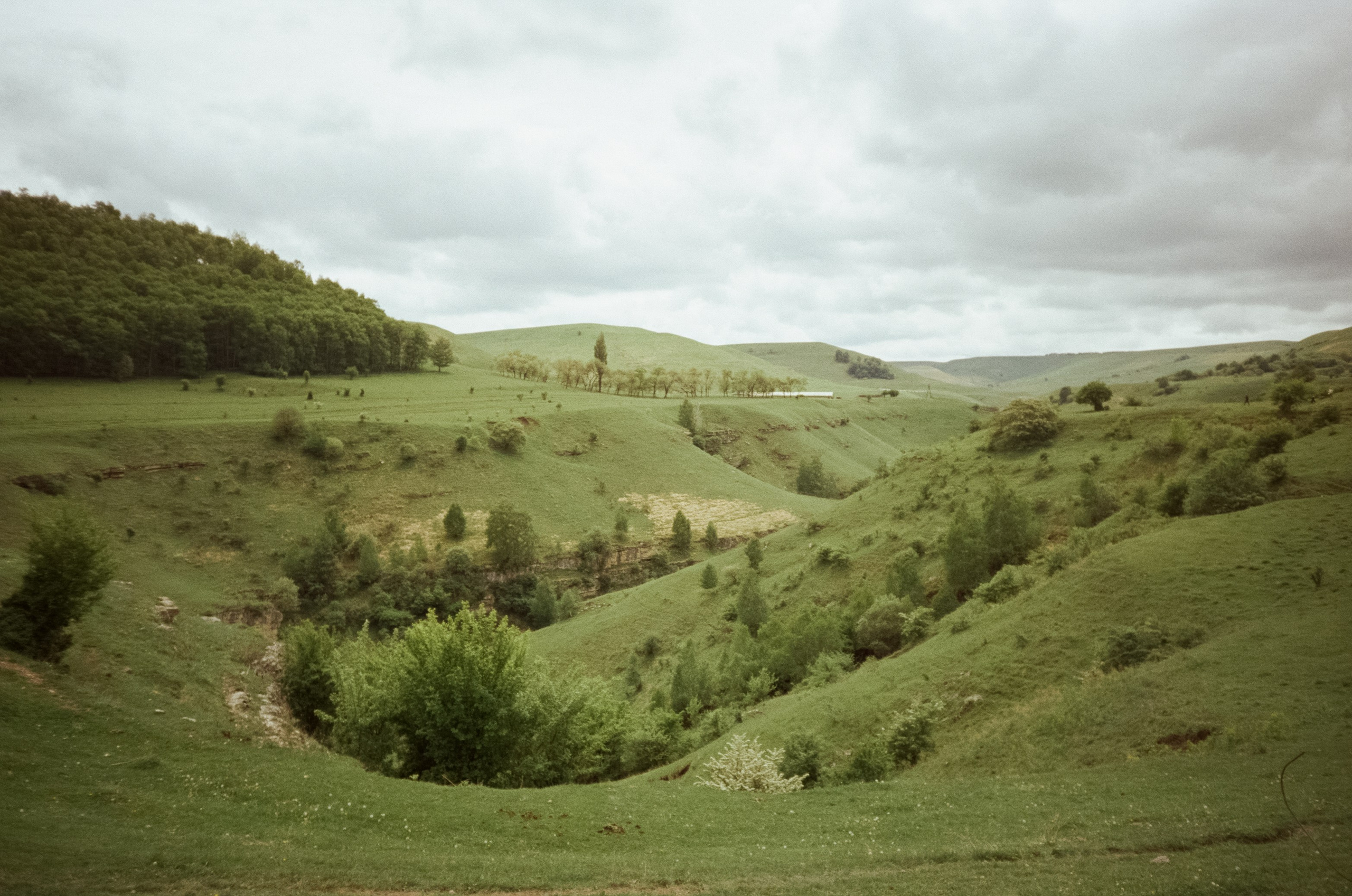 Из дождливого утра в солнечный день. Из Кисловодска в Железноводск. Фотограф-документалист Мария Осокина