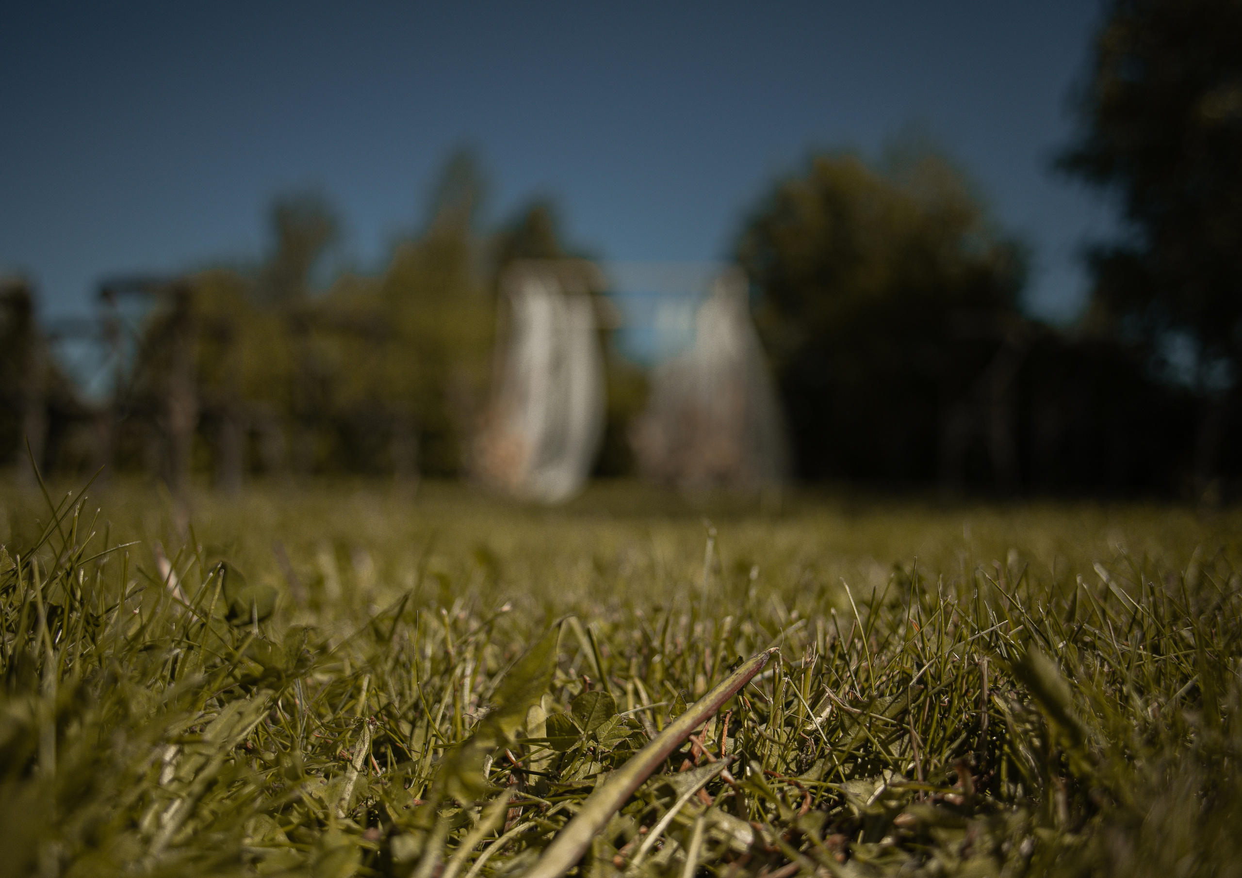 Wedding Ivan & Marina. Фотограф в Нижнем Новгороде, Москве и Сарове Гончаренко Евгения