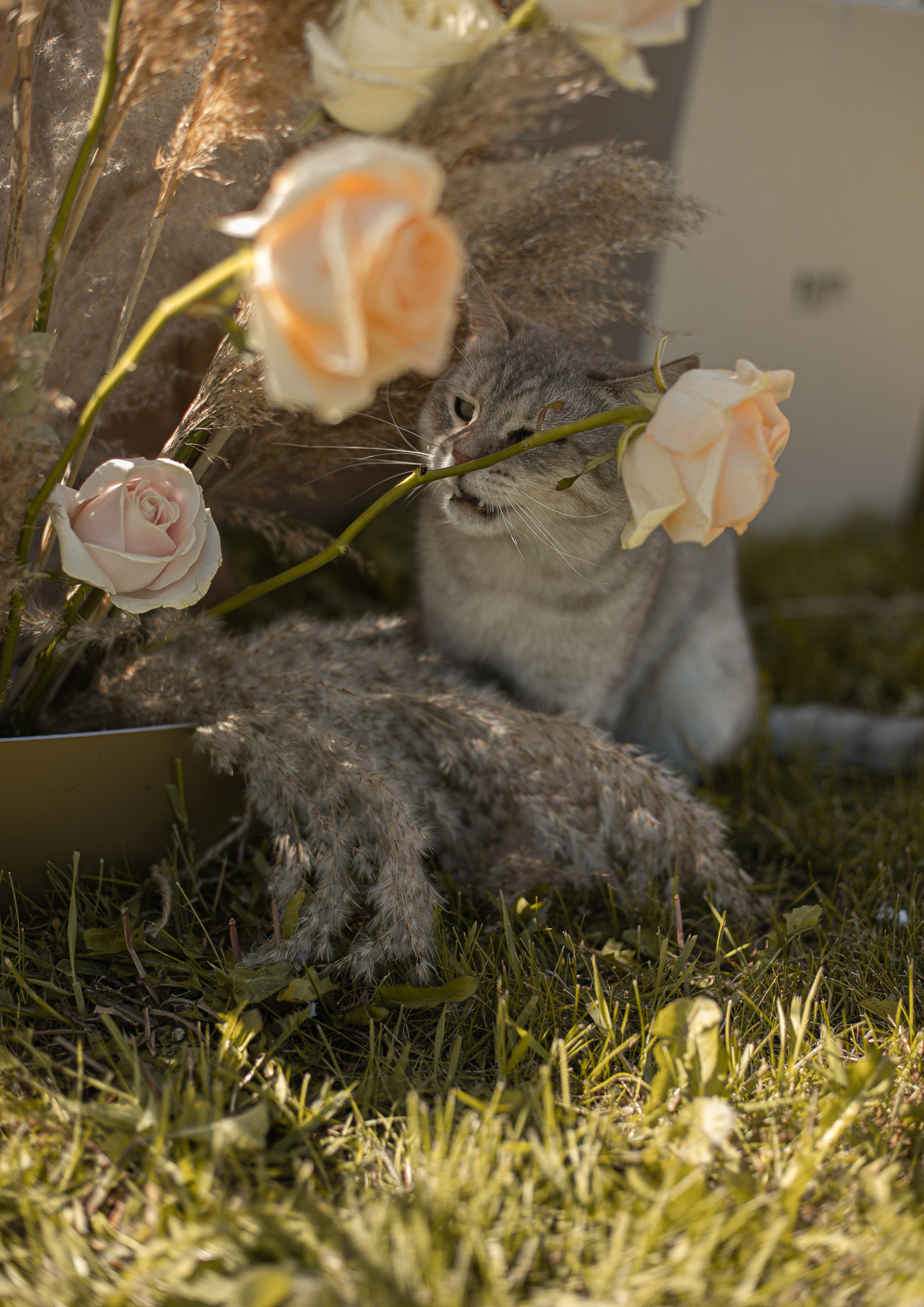 Wedding Ivan & Marina. Фотограф в Нижнем Новгороде, Москве и Сарове Гончаренко Евгения