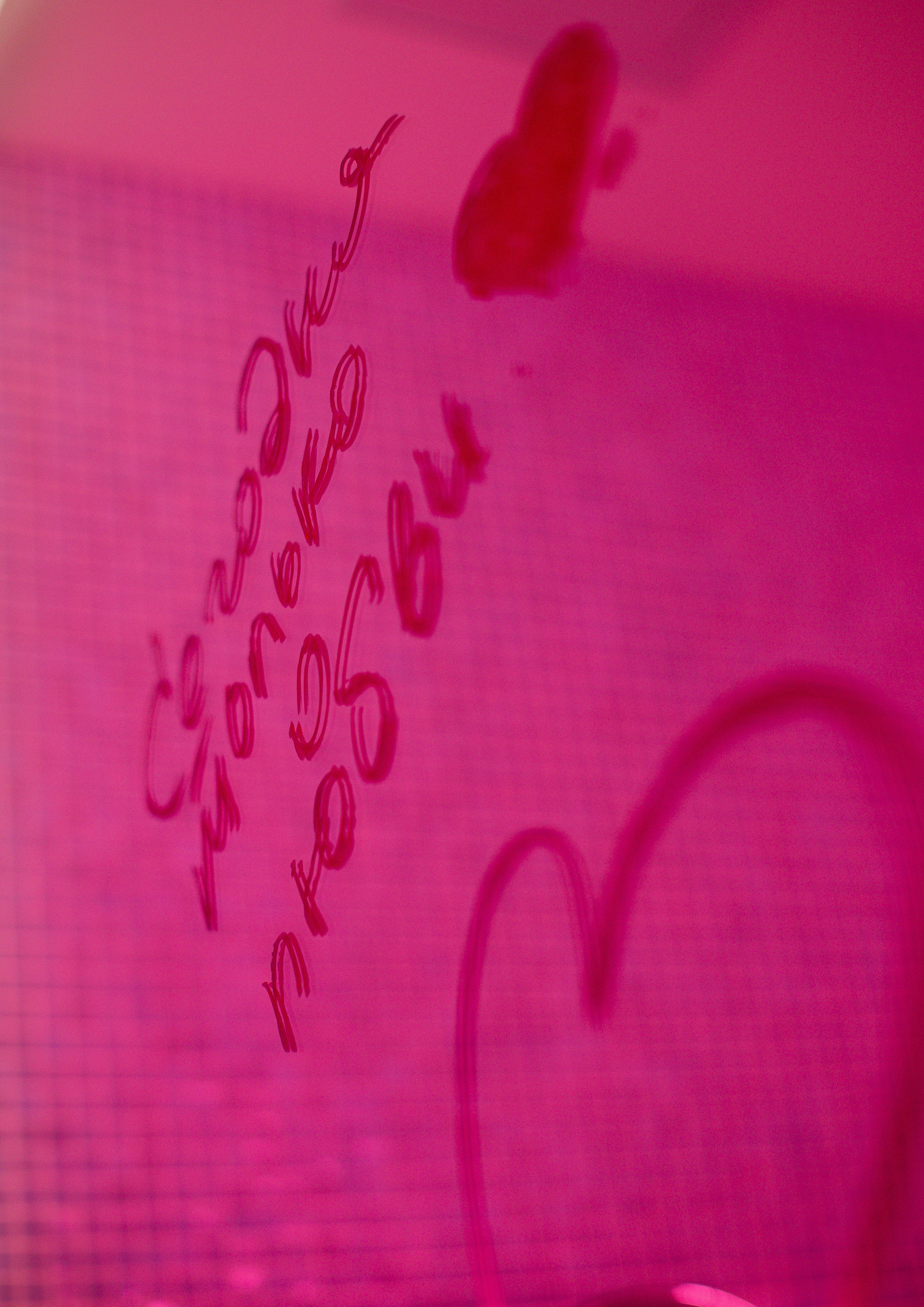 Wedding Ivan & Marina. Фотограф в Нижнем Новгороде, Москве и Сарове Гончаренко Евгения