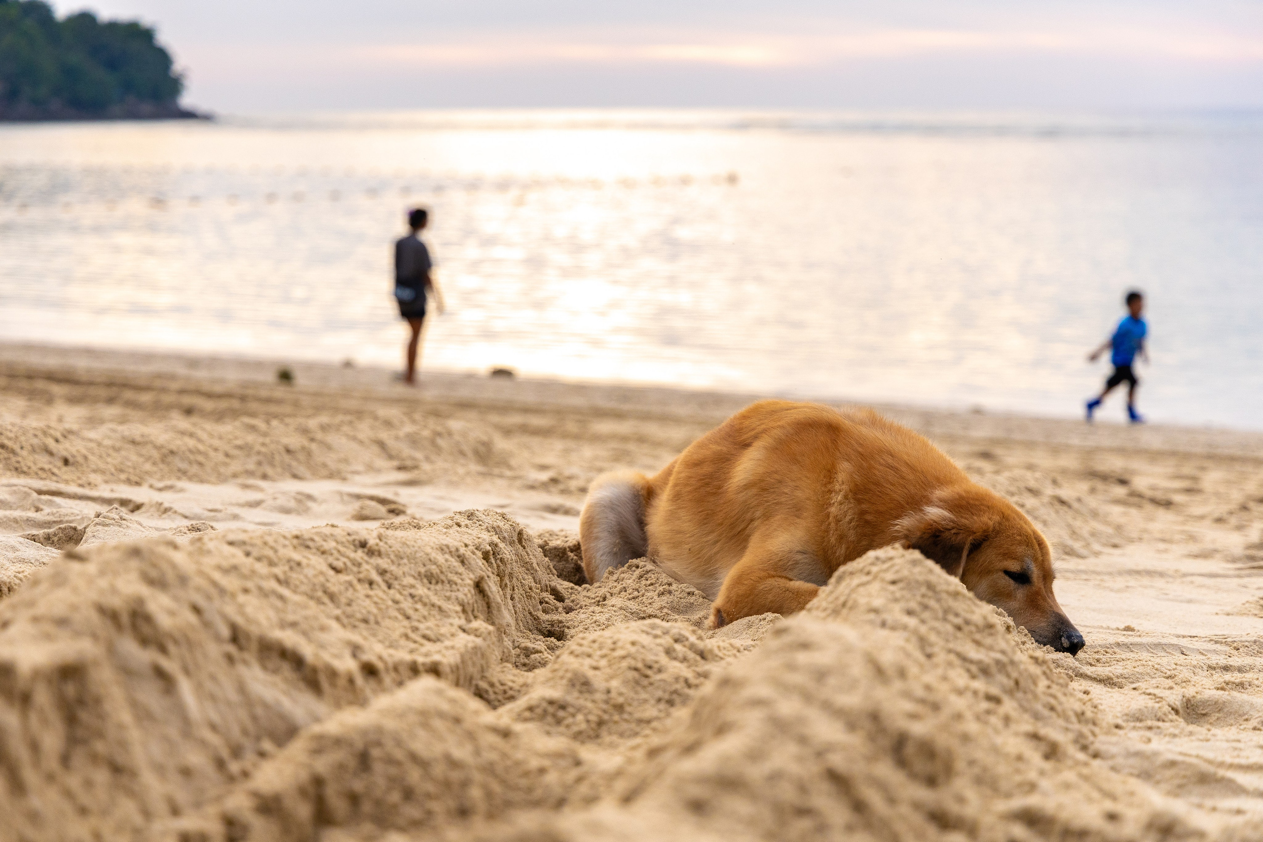 СТРИТ. Фотосъёмка Сочи, Адлер, Красная Поляна