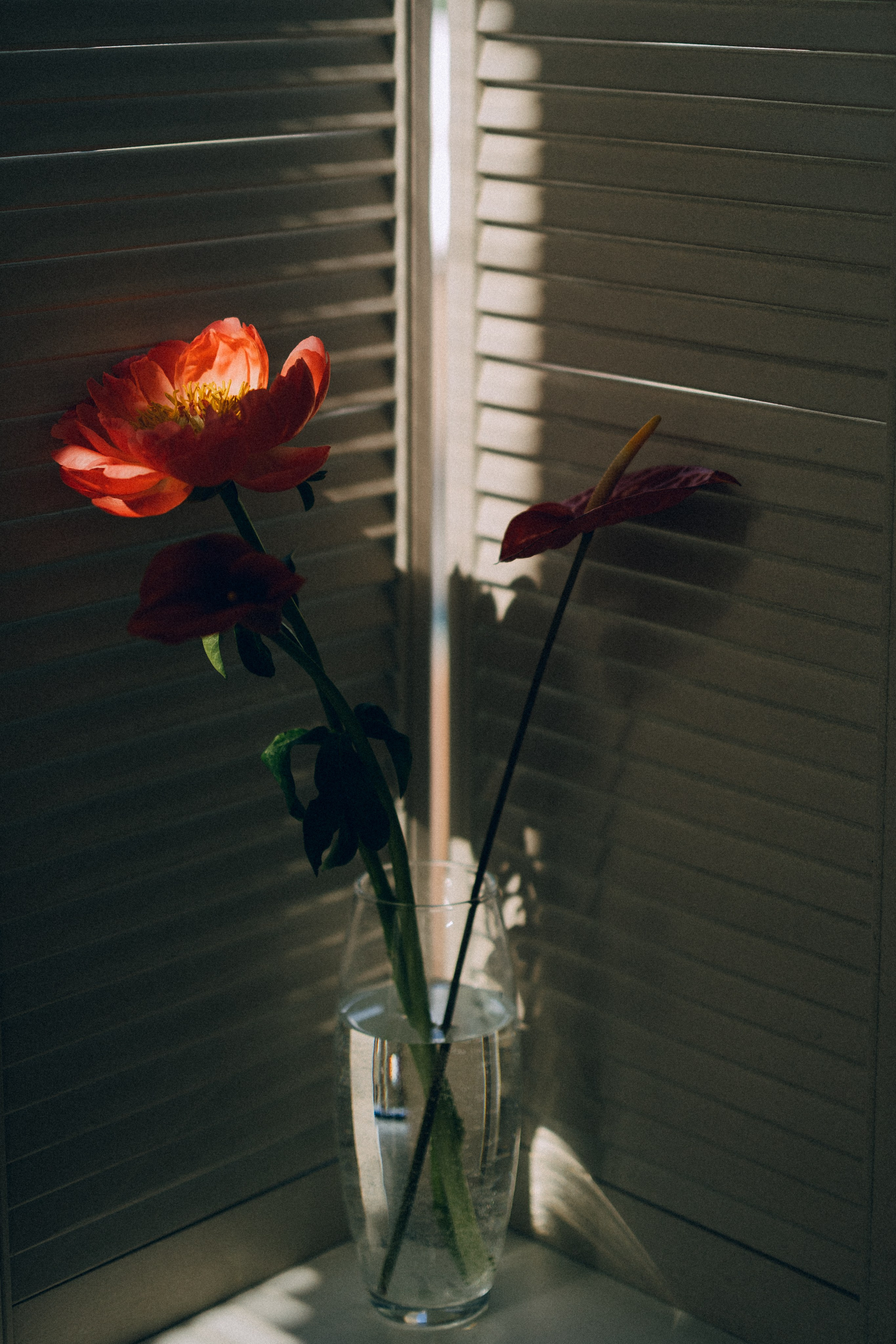 Вот это да, у меня теперь есть жена…. Daria Chigintseva Photographer