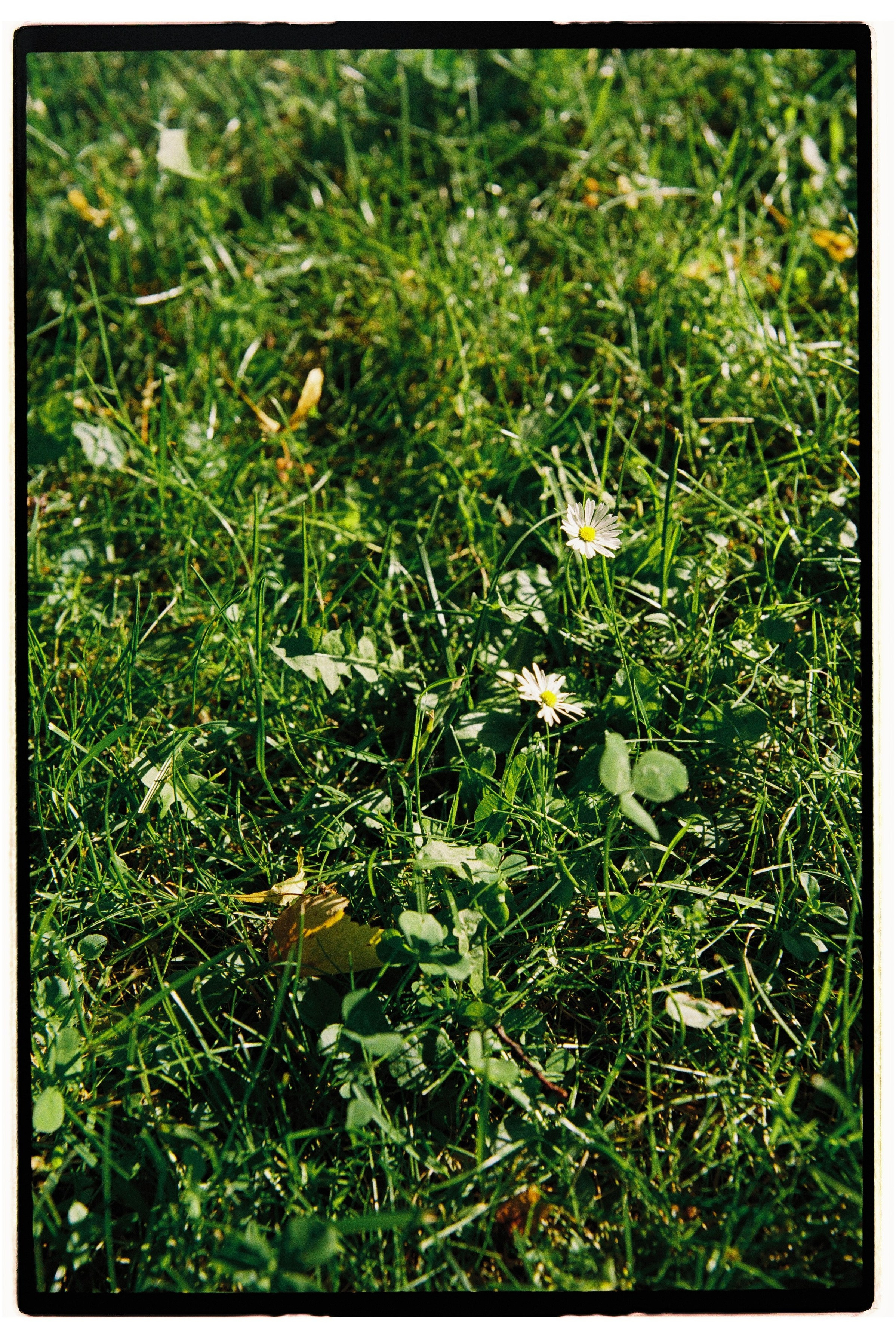 Илья и Маша. Свадебный фотограф в Москве Евгений Рыжов