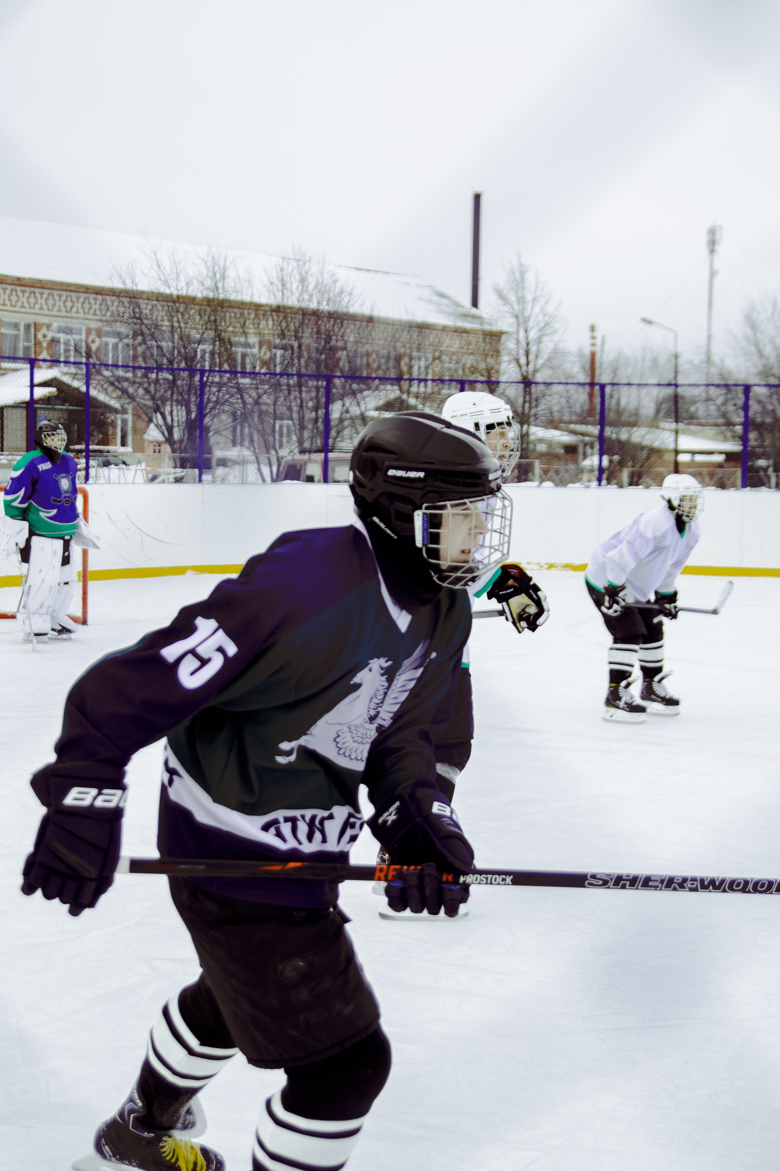 Хоккей 29.12.2024