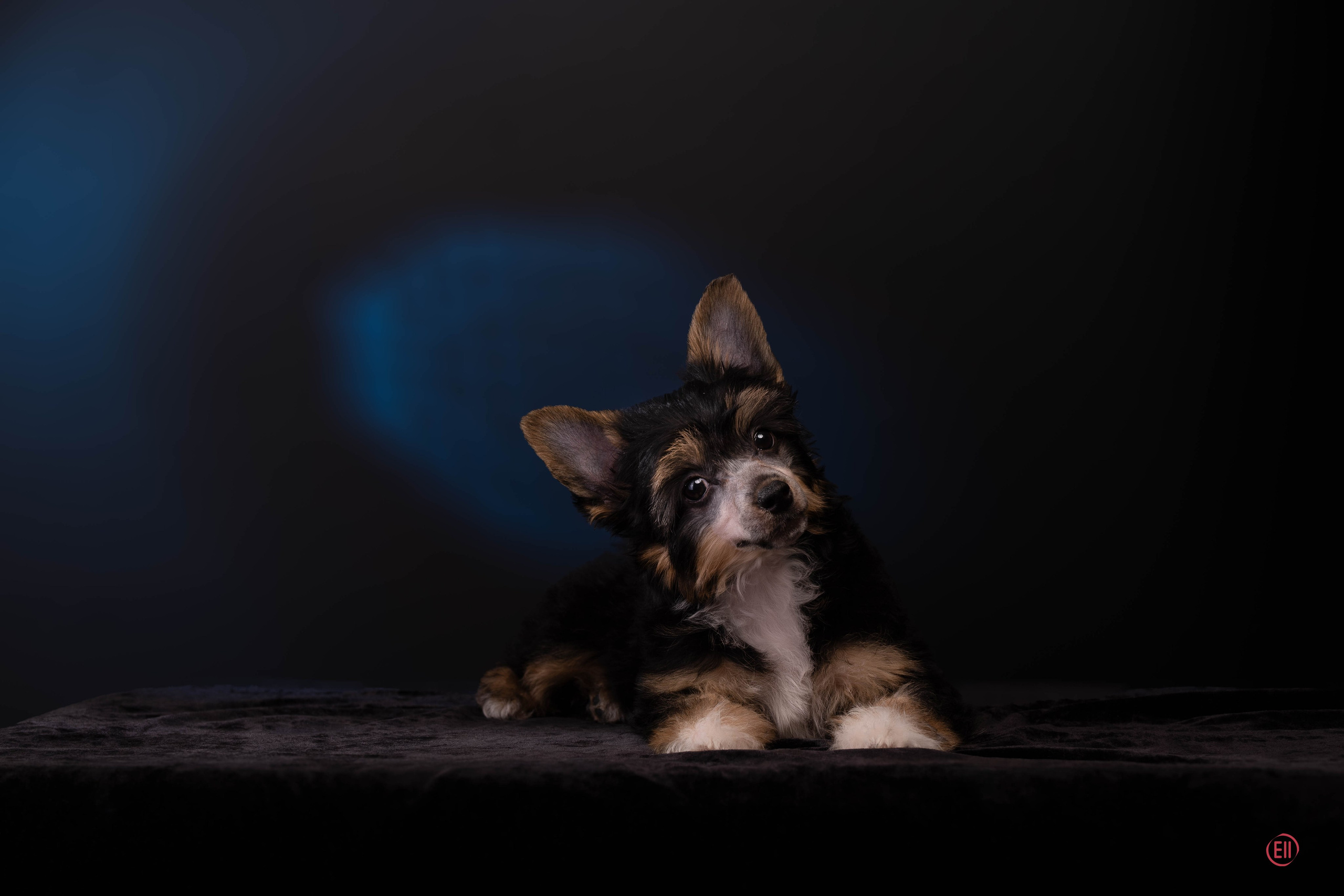 07.06.2025 Синяя фотосессия. Фотограф в Москве