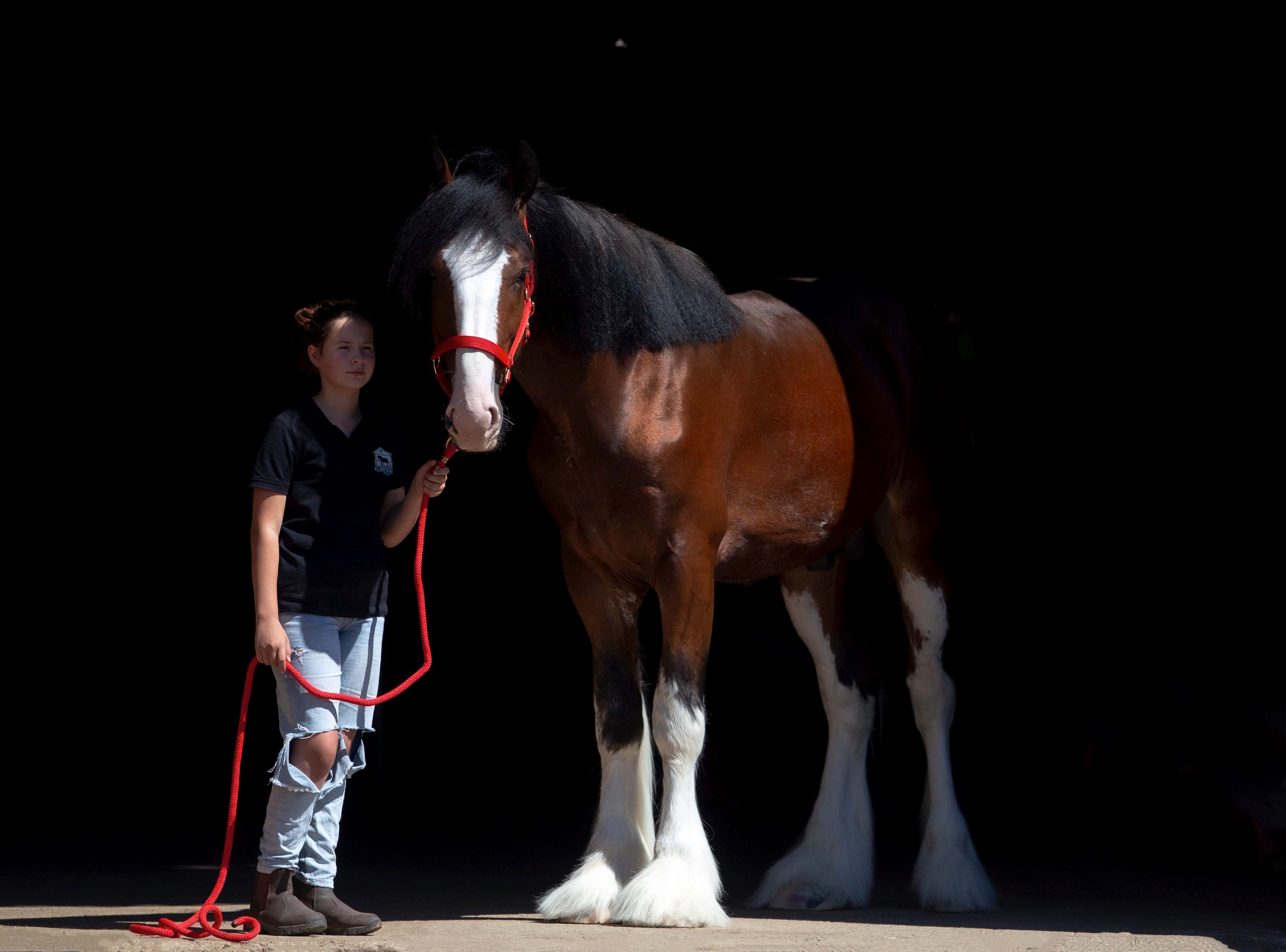 Towerview Blue Print. CLYDESDALE HOUSE