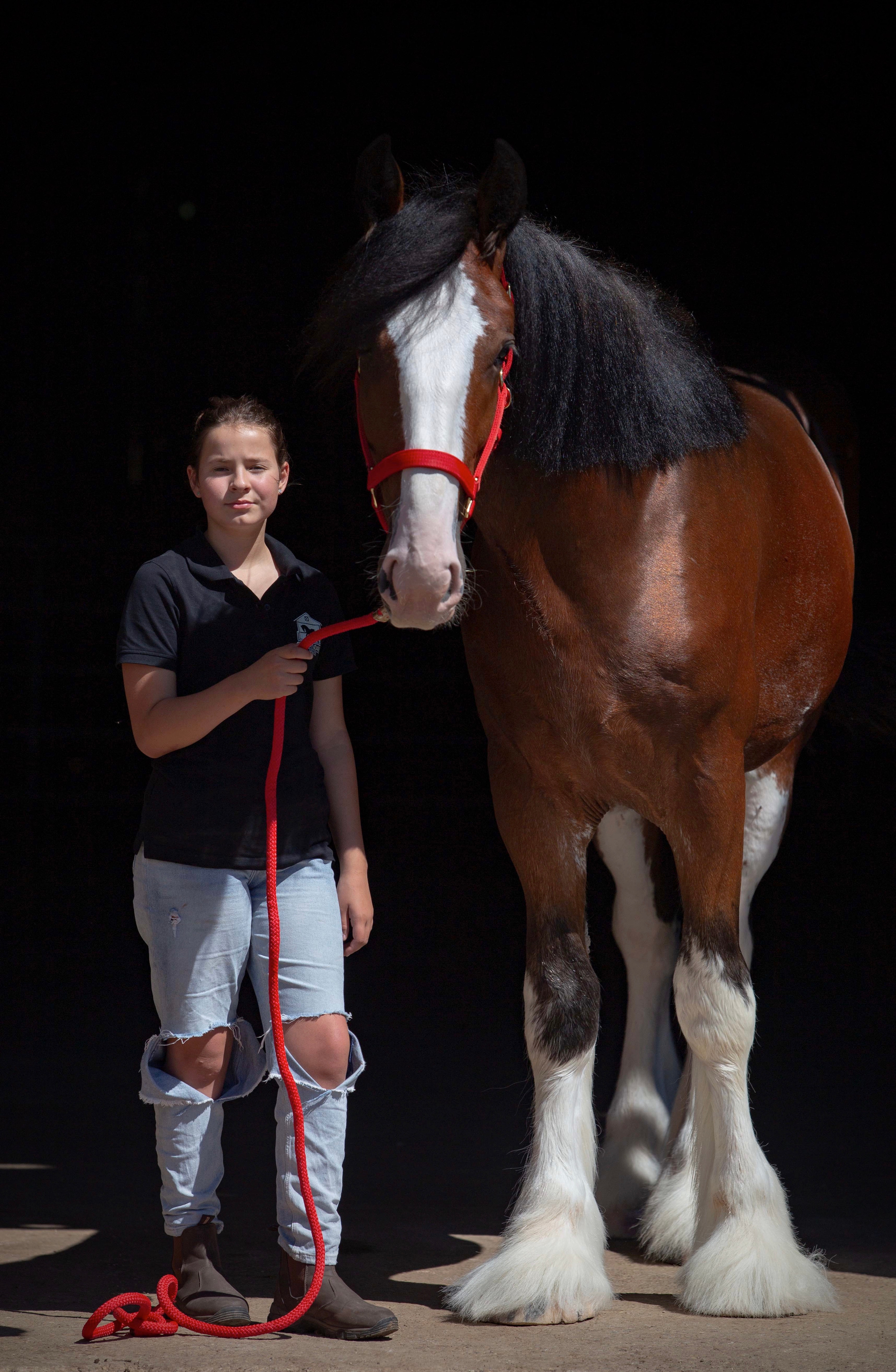Towerview Blue Print. CLYDESDALE HOUSE