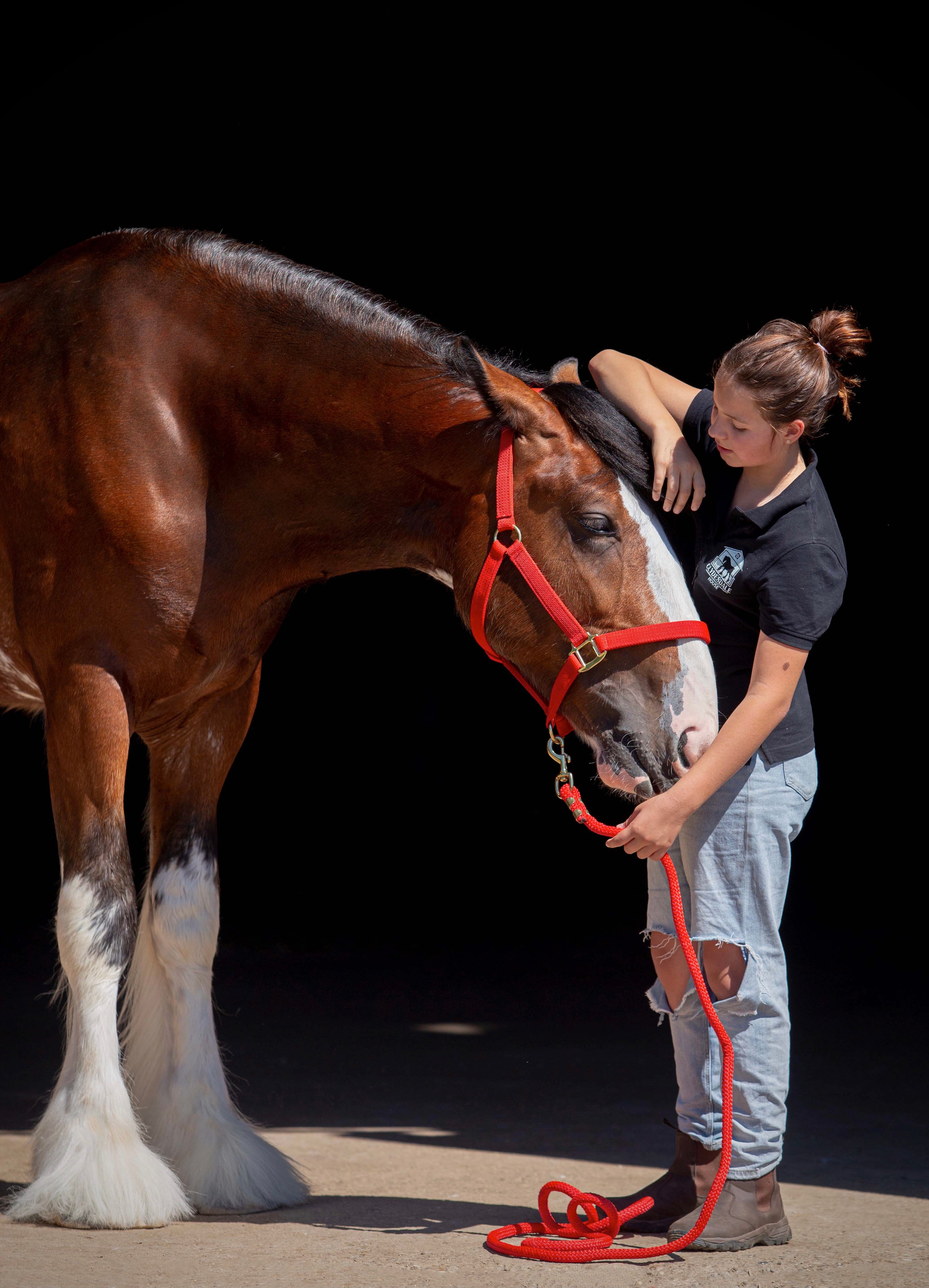 Towerview Blue Print. CLYDESDALE HOUSE