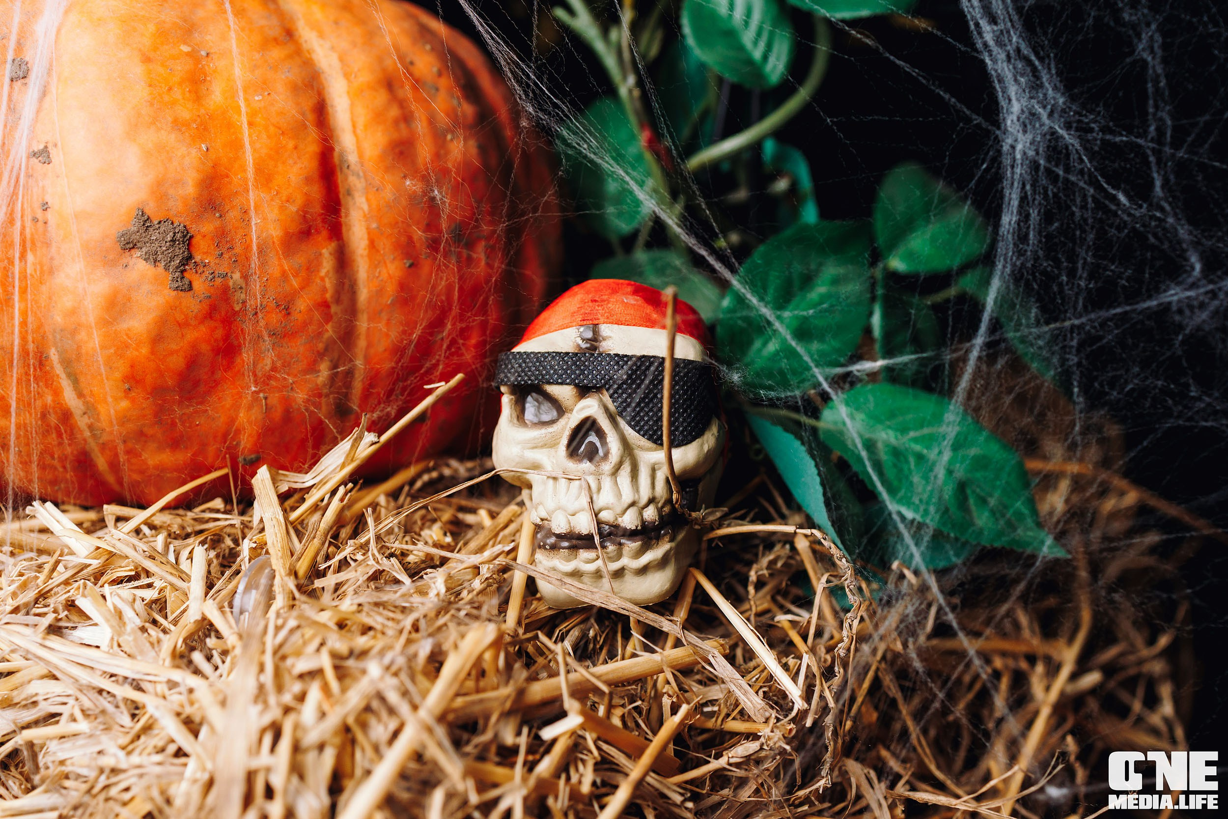 Фоторепортаж из бара Dreadnought. One Media Life: фоторепортажи, фотоотчеты с мероприятий и заведений