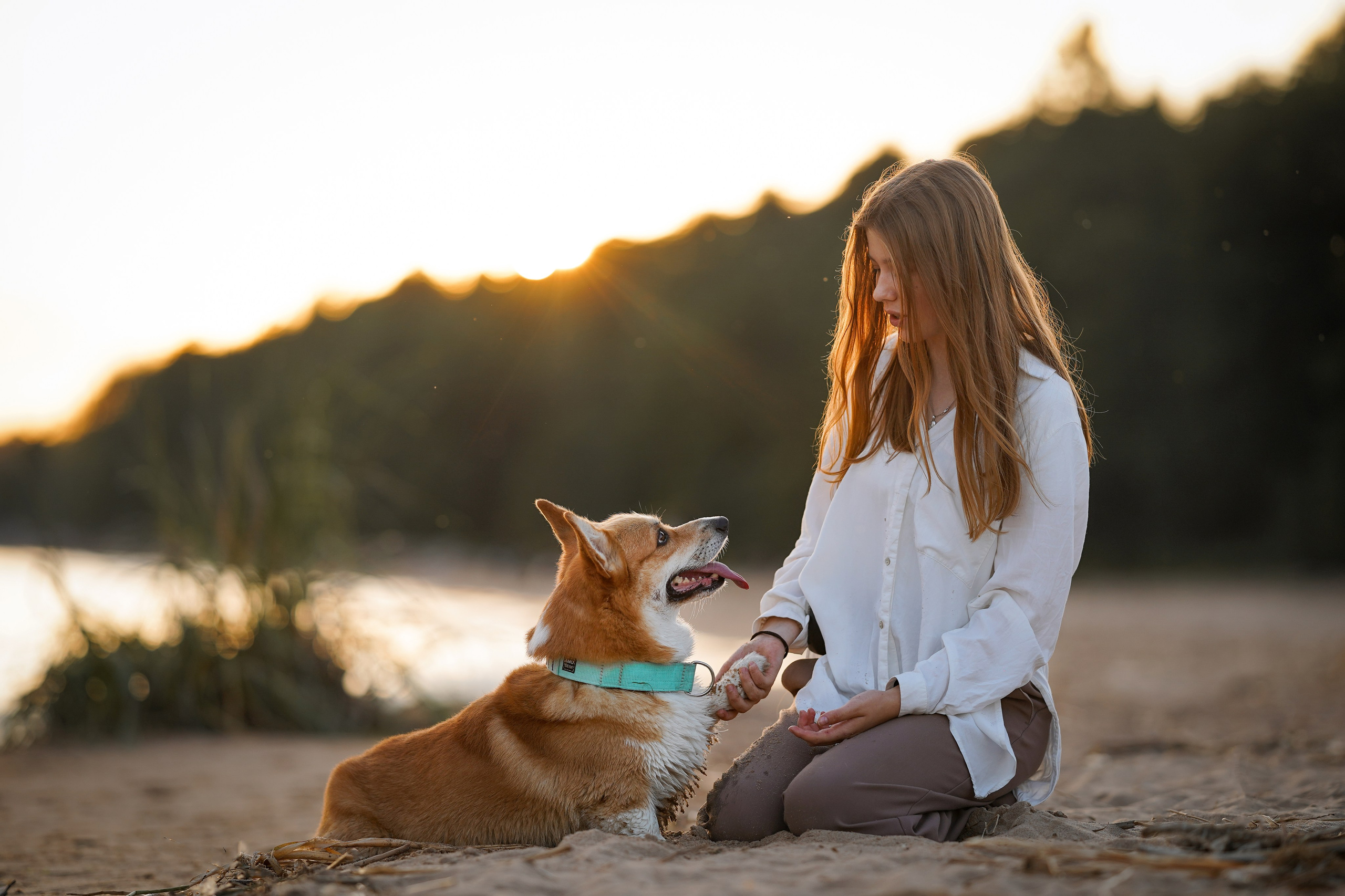 Катя Алиса и коржики. Фотограф-анималист в Санкт-Петербурге Яна Мартынова