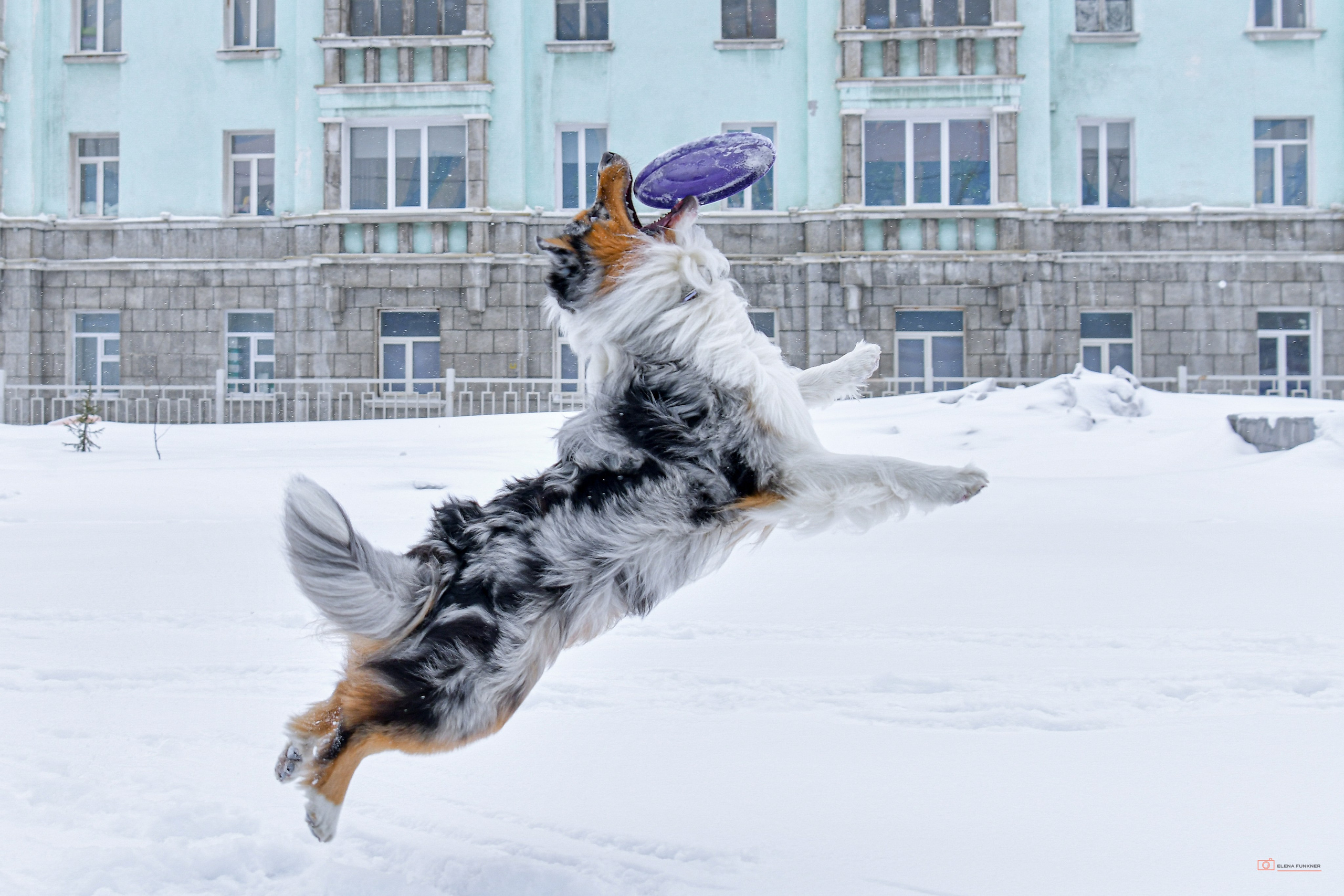 Зима. Свой взгляд через объектив