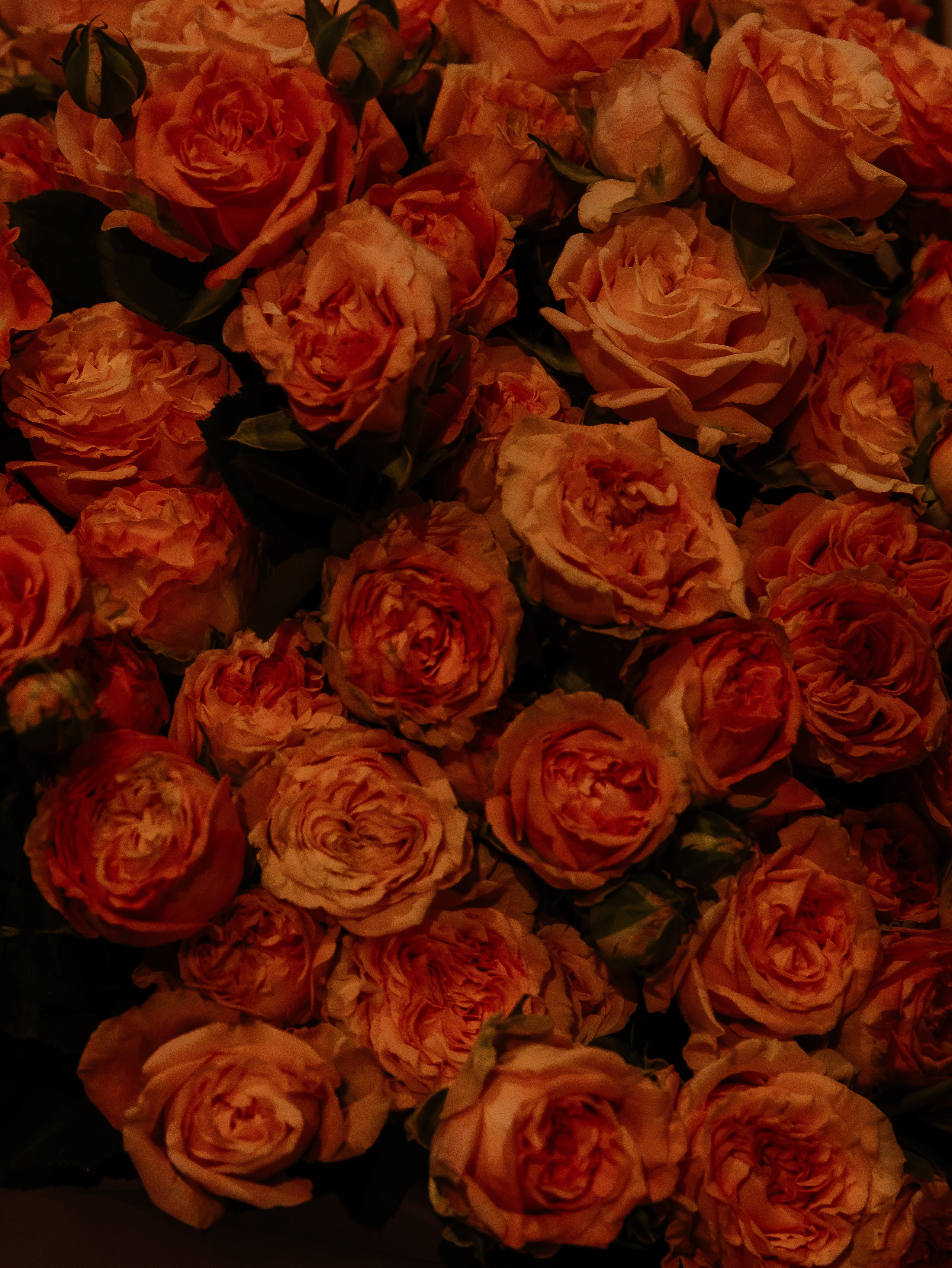 Юбилей 50 лет Парк сити Челябинск. СВАДЕБНЫЙ ФОТОГРАФ ЧЕЛЯБИНСК