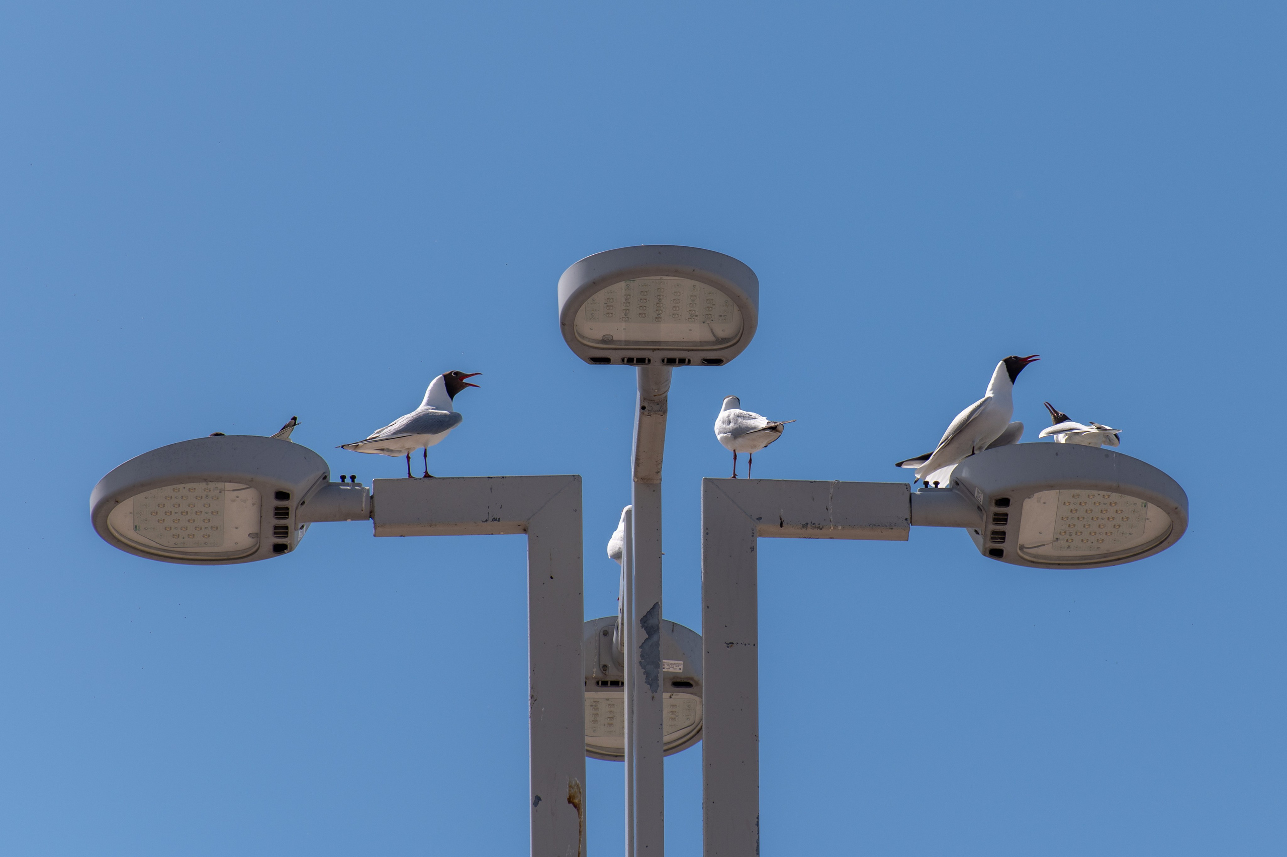 20230612-16 Нижний Новгород. Дмитрий Ремизов. Фотография, как хобби