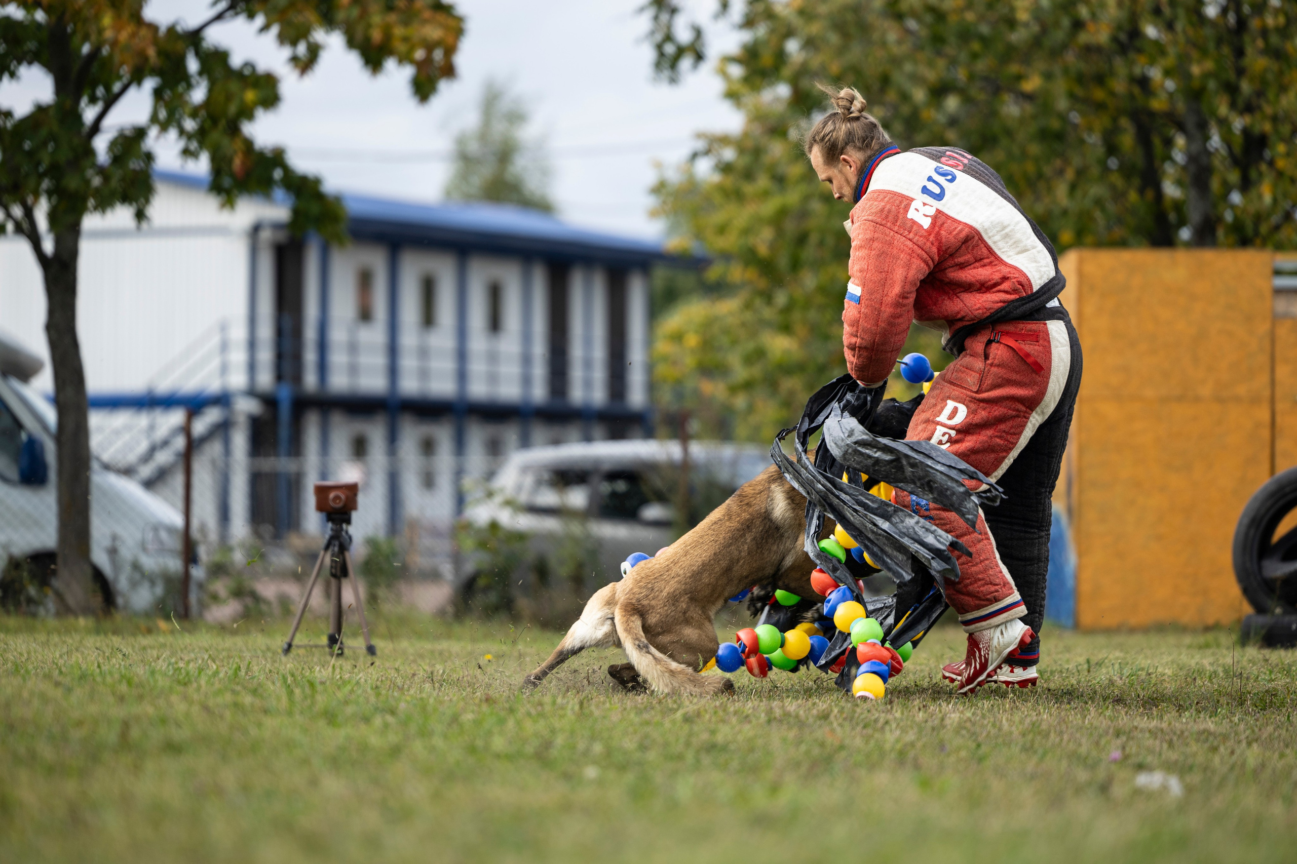 Испытания по Мондьорингу г. Пушкин. Фотограф-анималист Анна Маринич