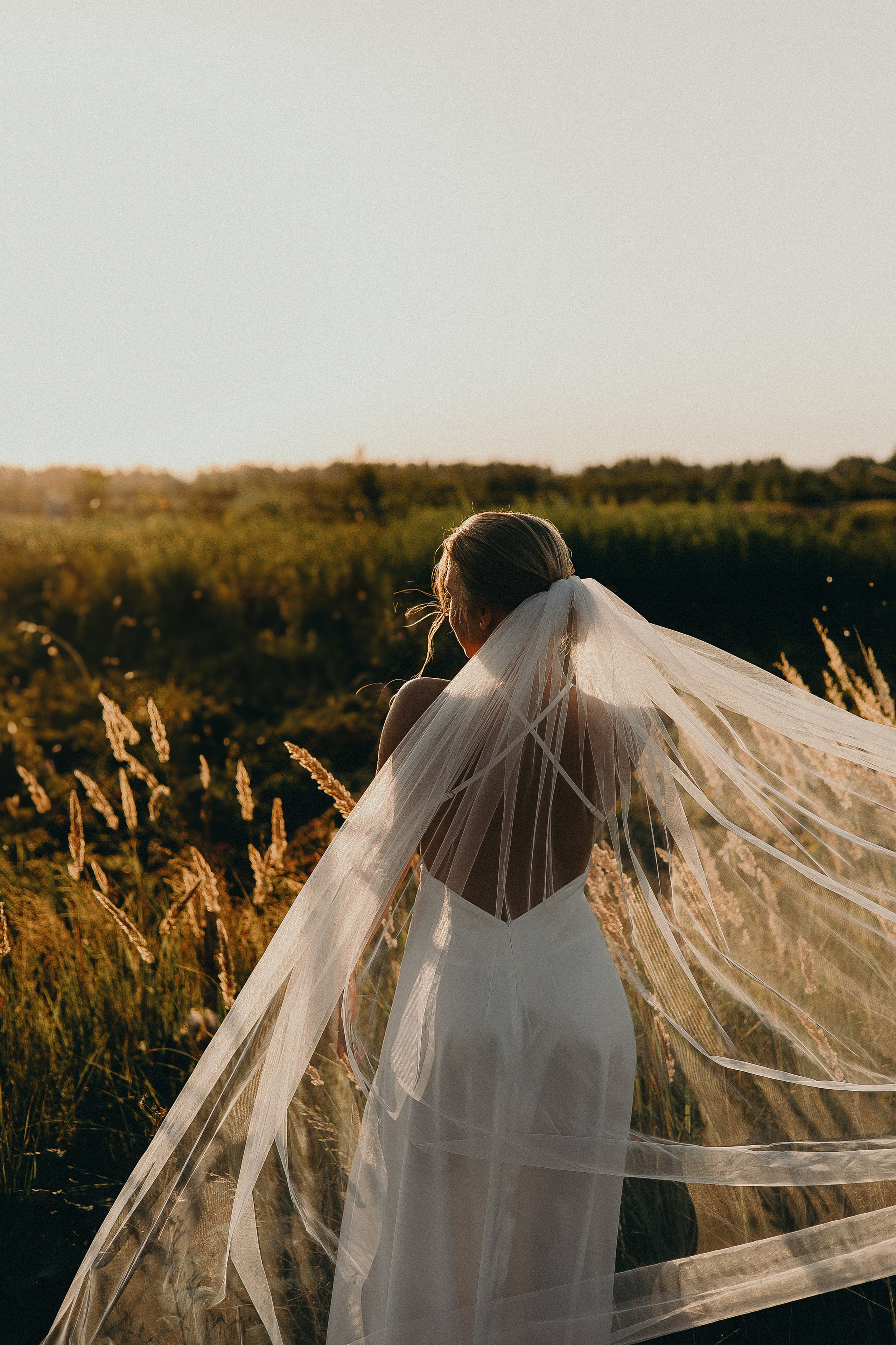 Свадьба. Семейный и свадебный фотограф в Ульяновске