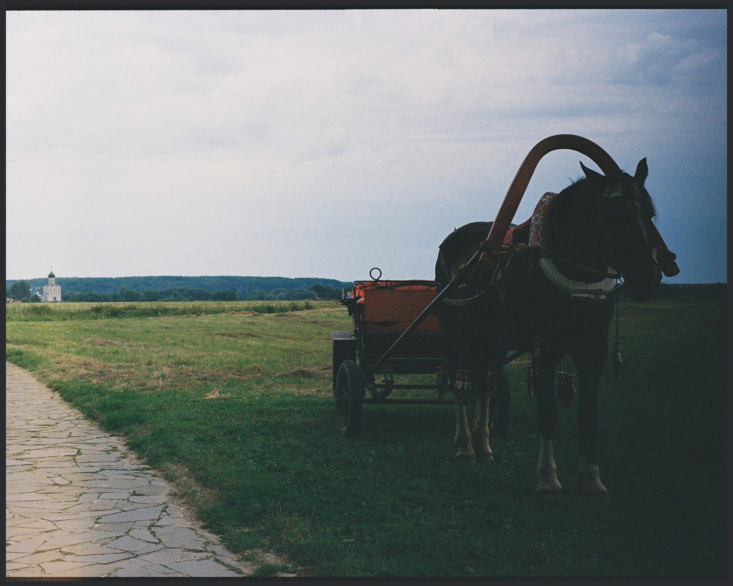 Це́рковь Покрова́ на Не́рли́. ANNA — PHOTOGRAPHER
