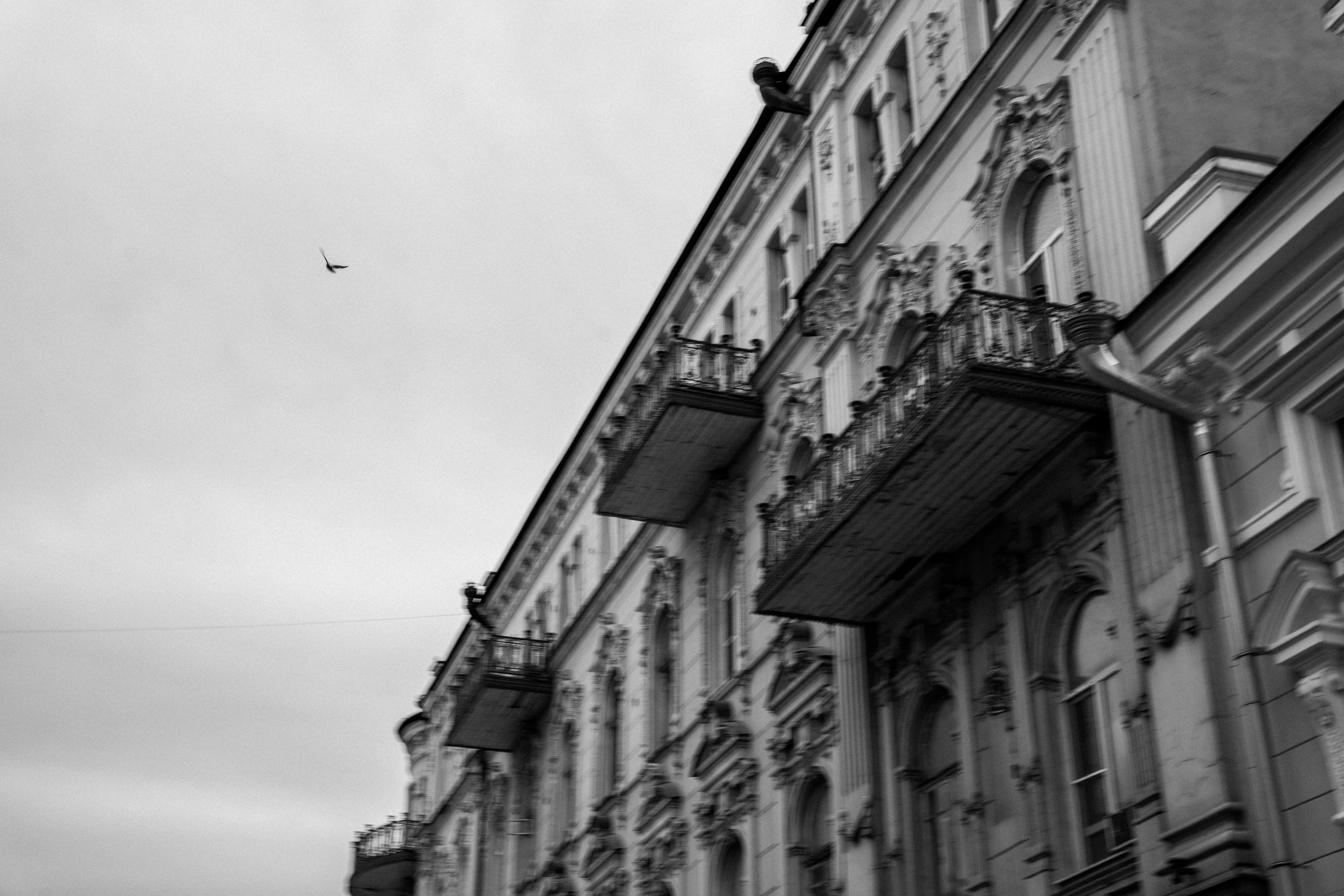 Nikita & Alexandra. Свадебный фотограф Решетников Дмитрий