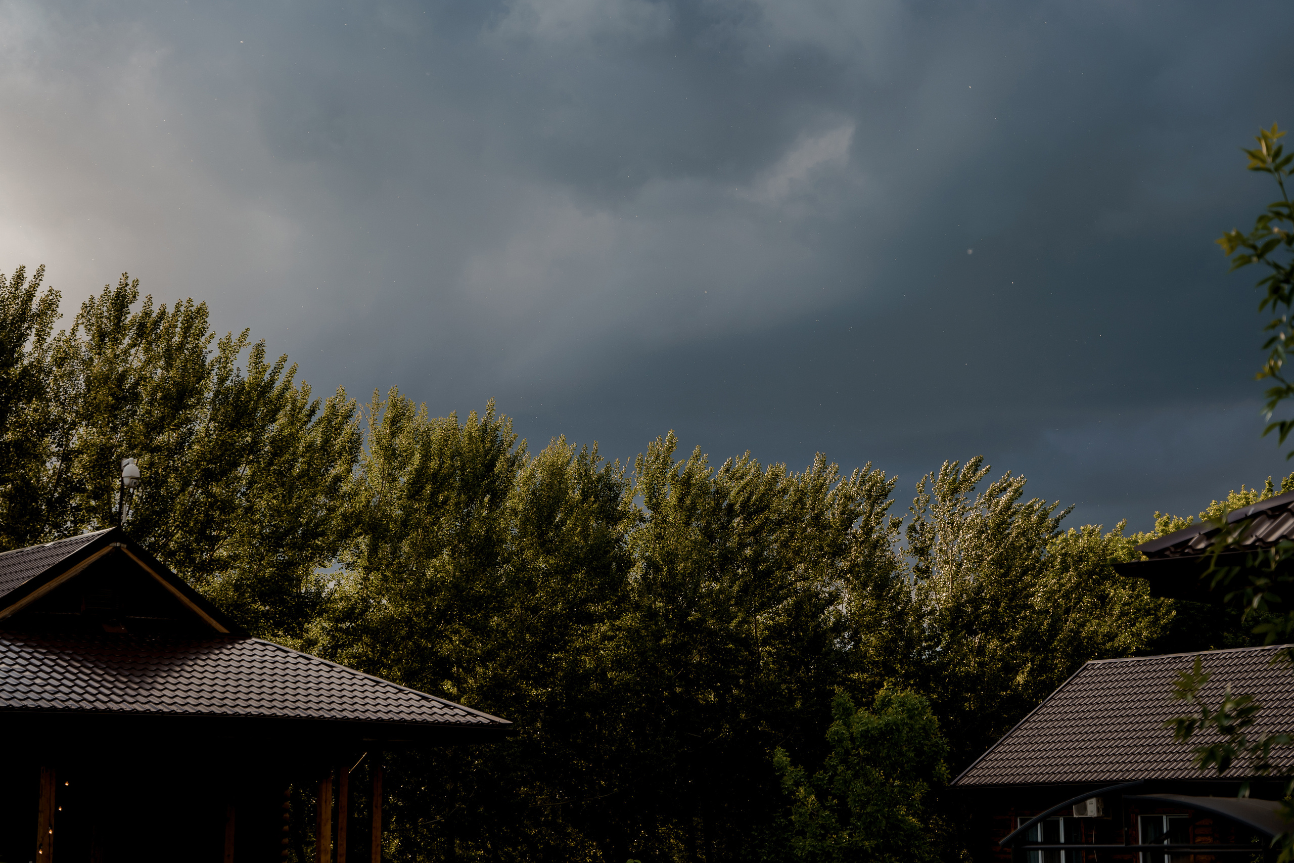 Sergey & Kristina. Свадебный фотограф Решетников Дмитрий