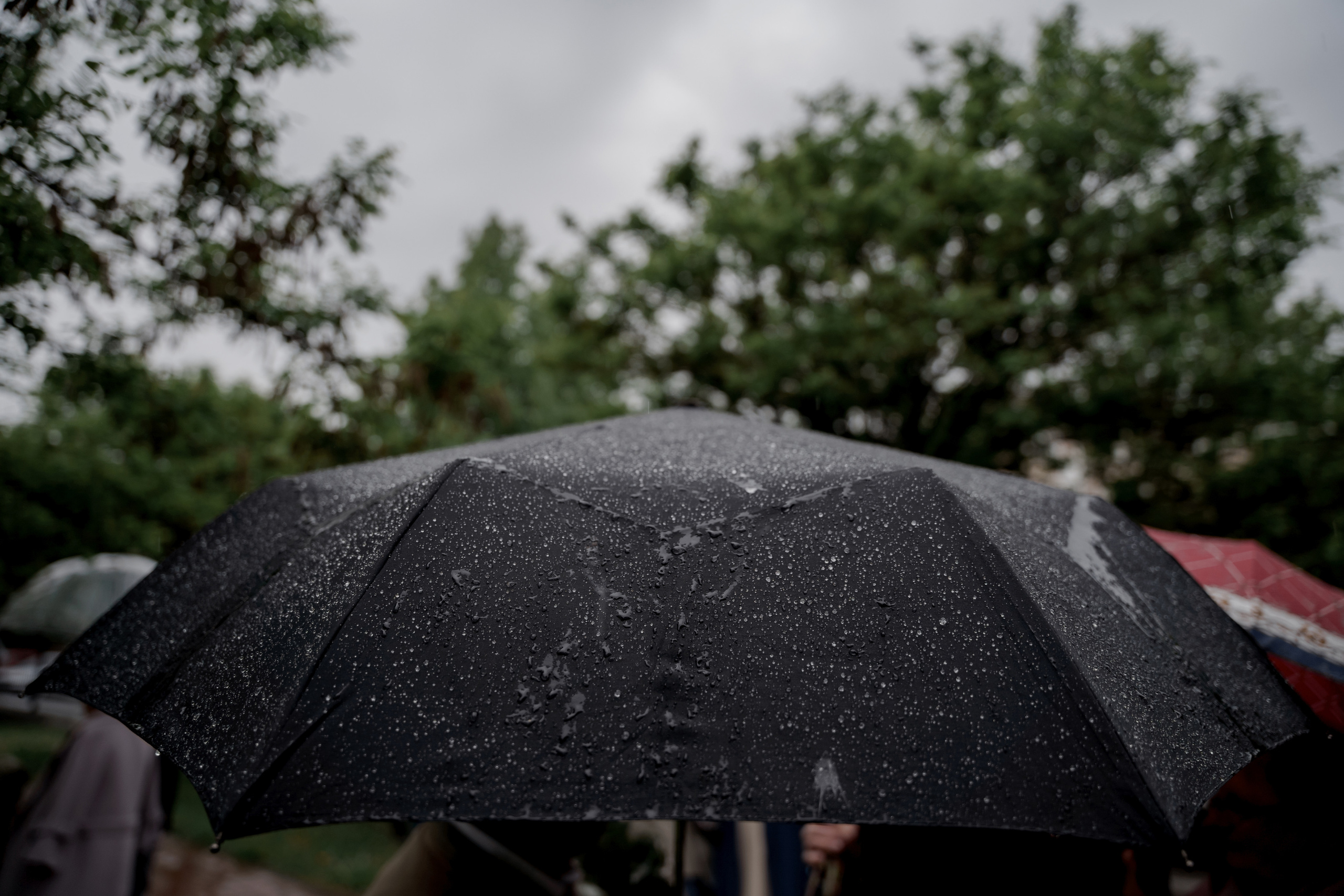 Nikita & Alexandra. Свадебный фотограф Решетников Дмитрий