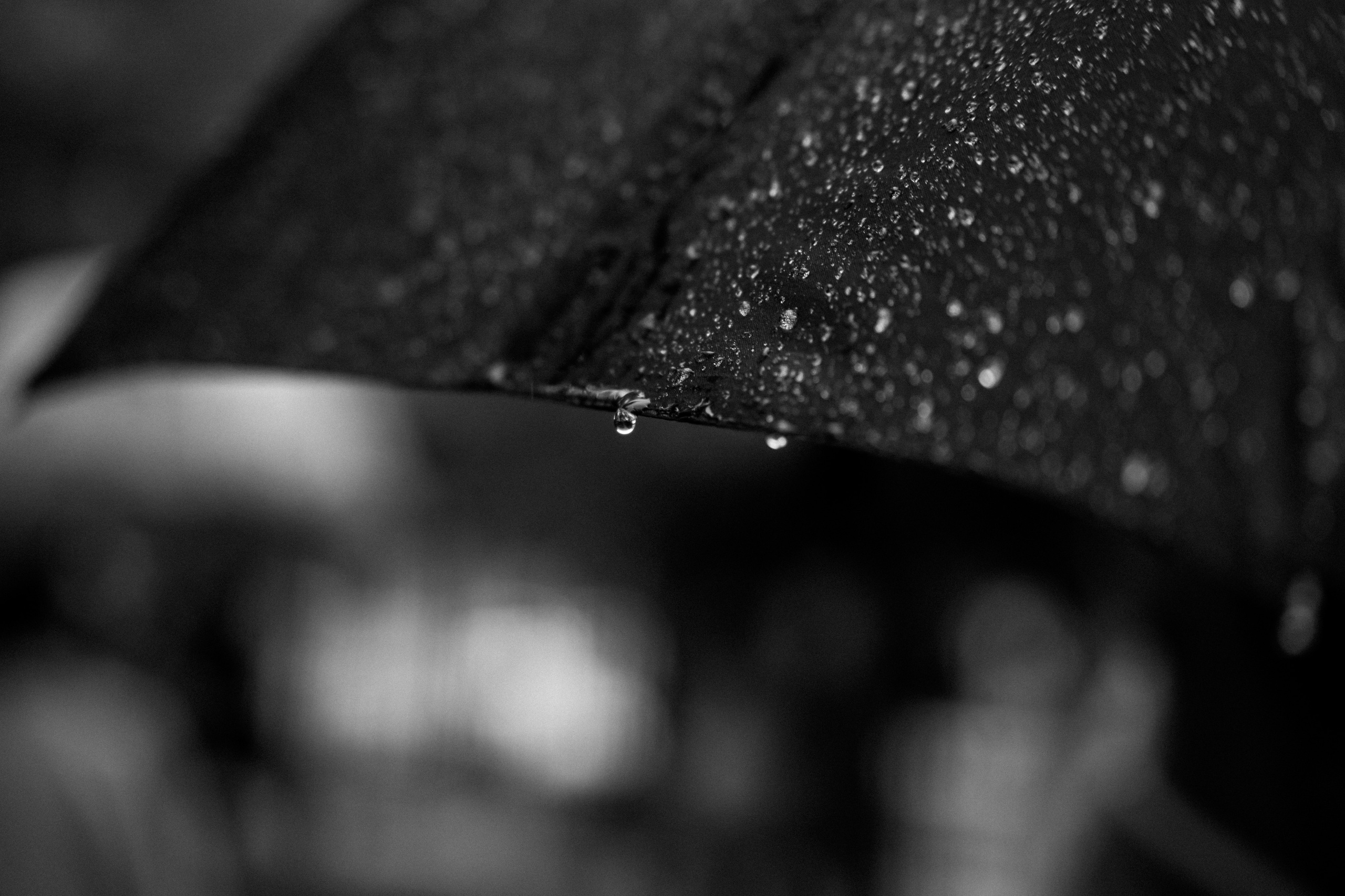 Nikita & Alexandra. Свадебный фотограф Решетников Дмитрий