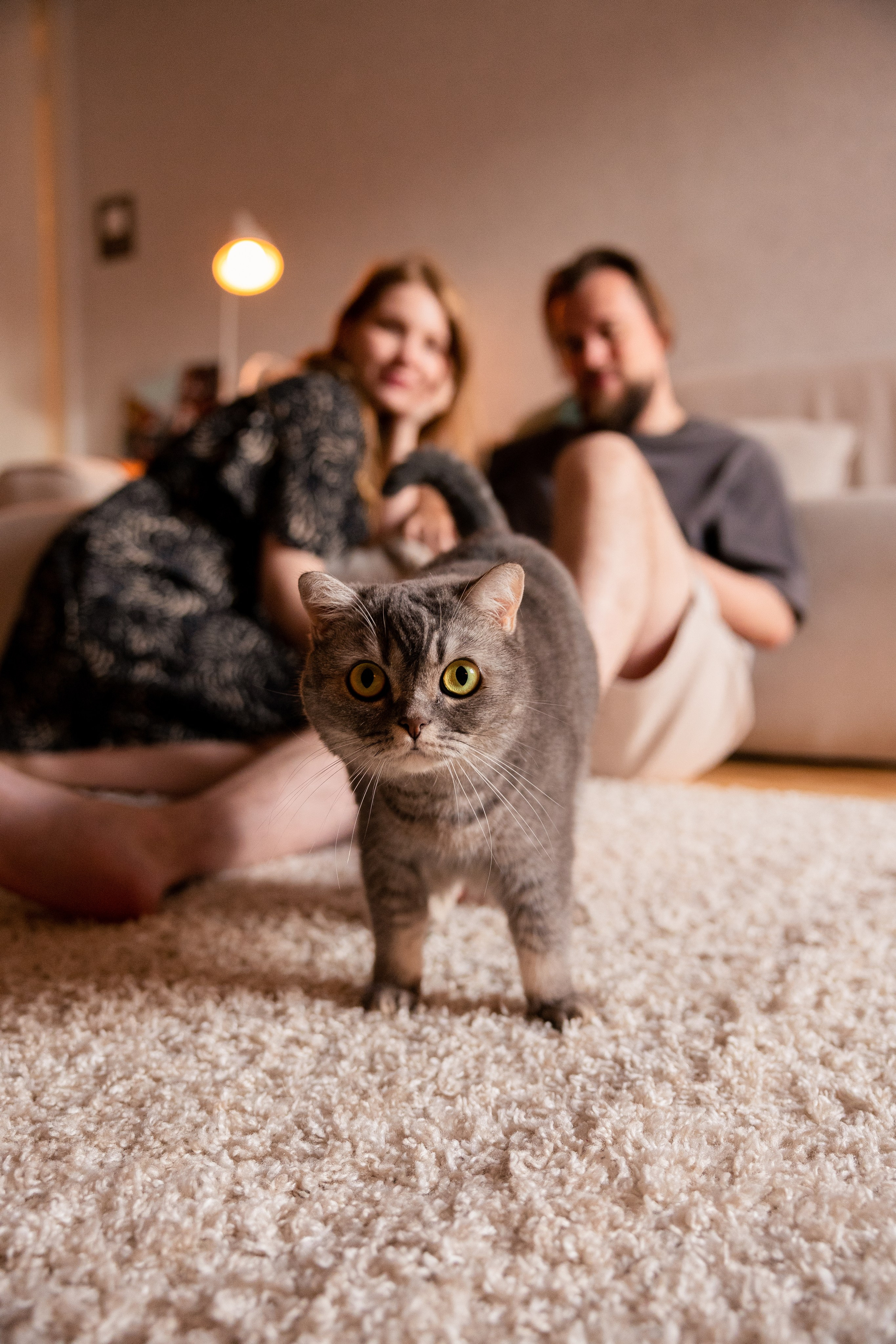 Домашние посиделки. Питерский фотограф