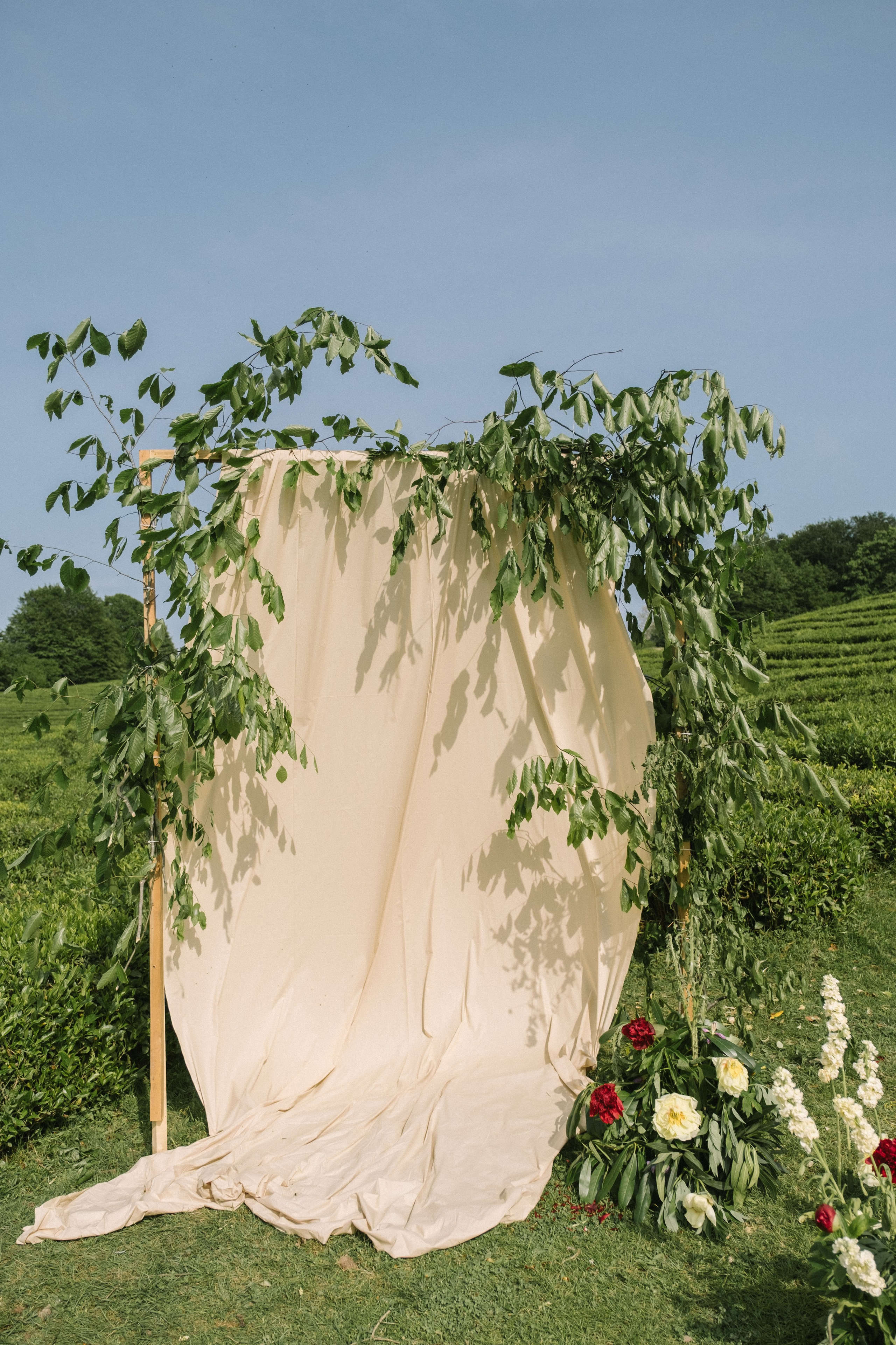 Маленькая Италия. Свадебный Видеограф Фотограф в Сочи