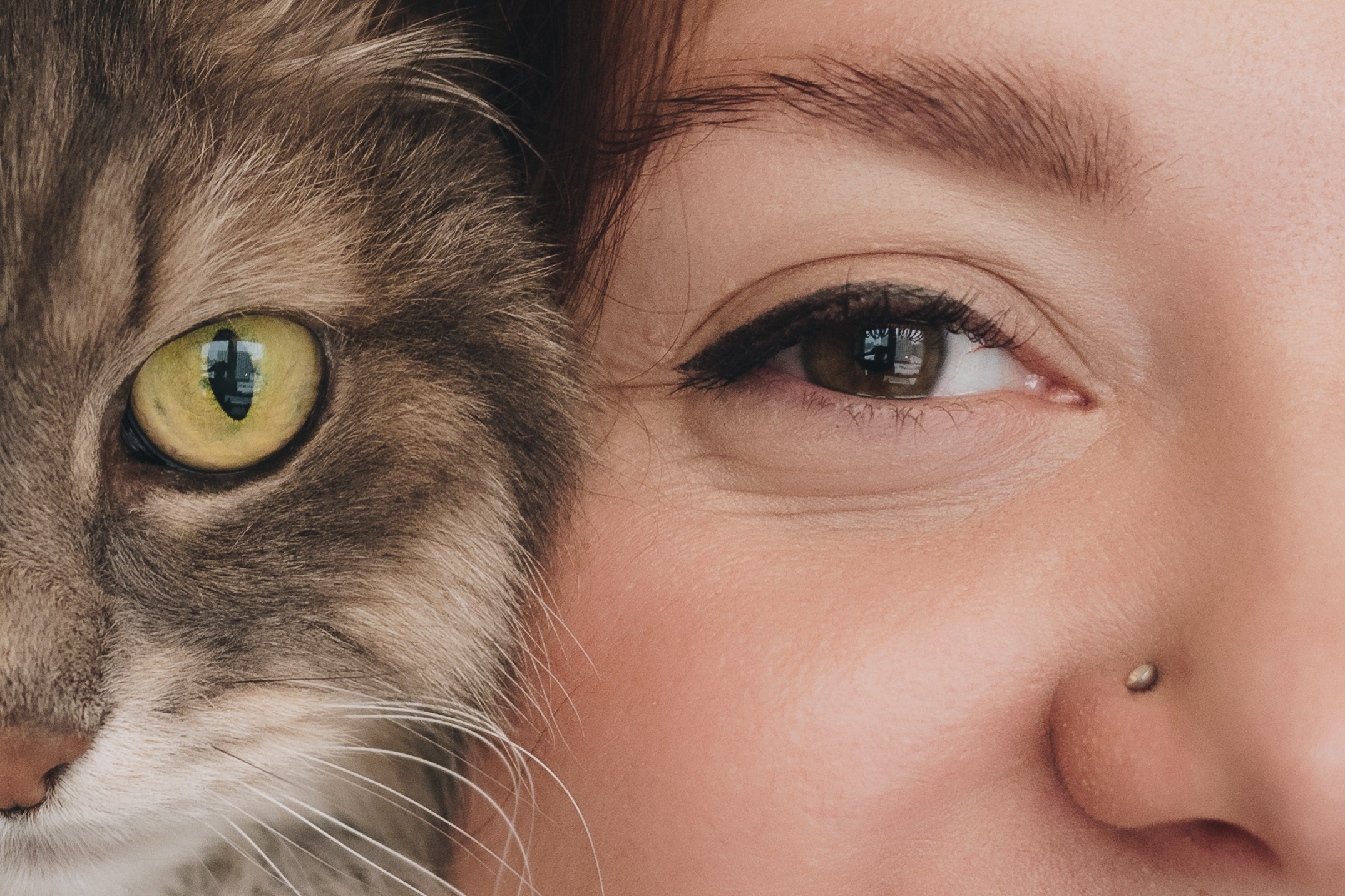 Vika & Kot. Natalia Finch Photography — Family, Kids & Pet Photographer in Chicago, IL