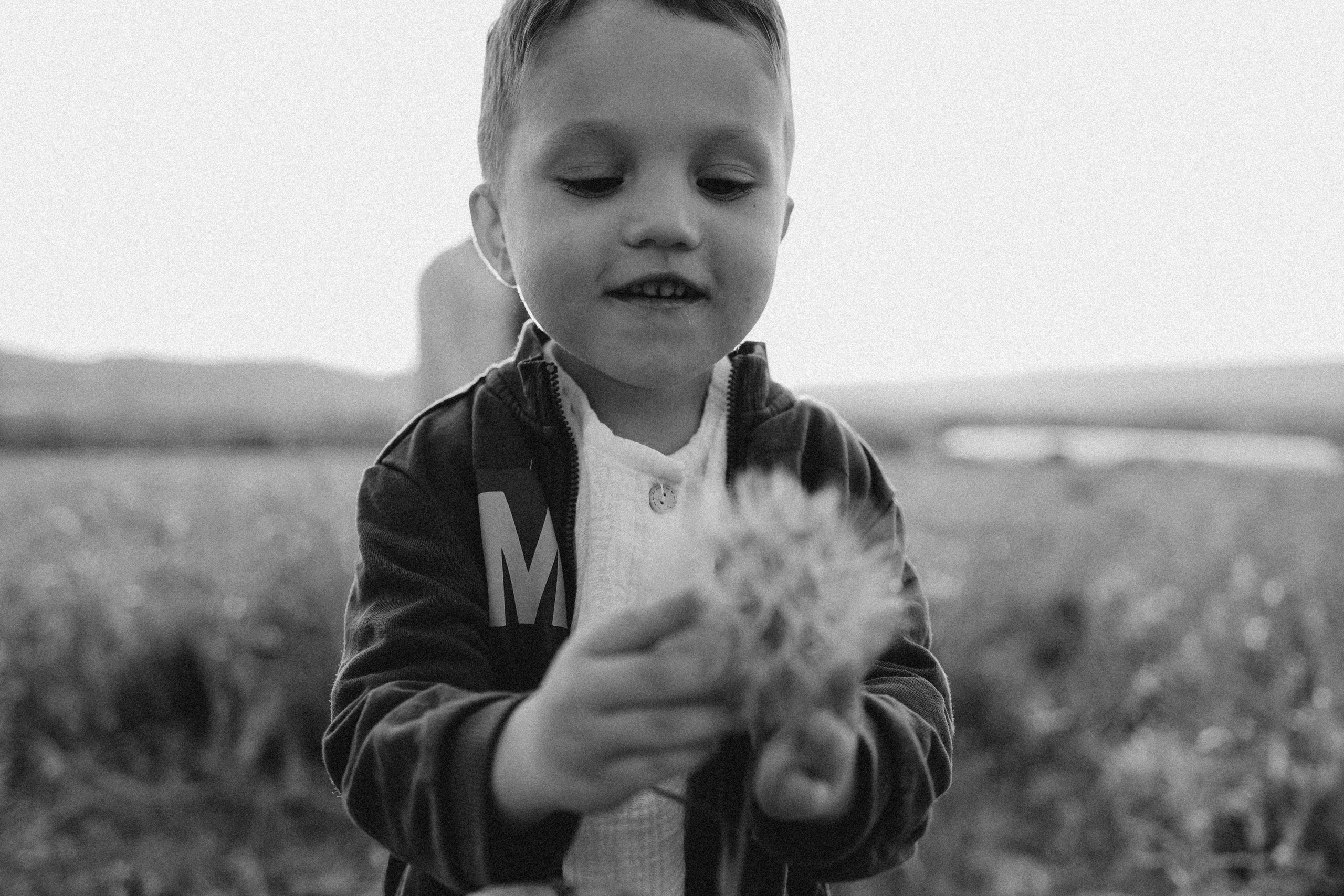 Маковая история. Фотограф Немазенко Ольга