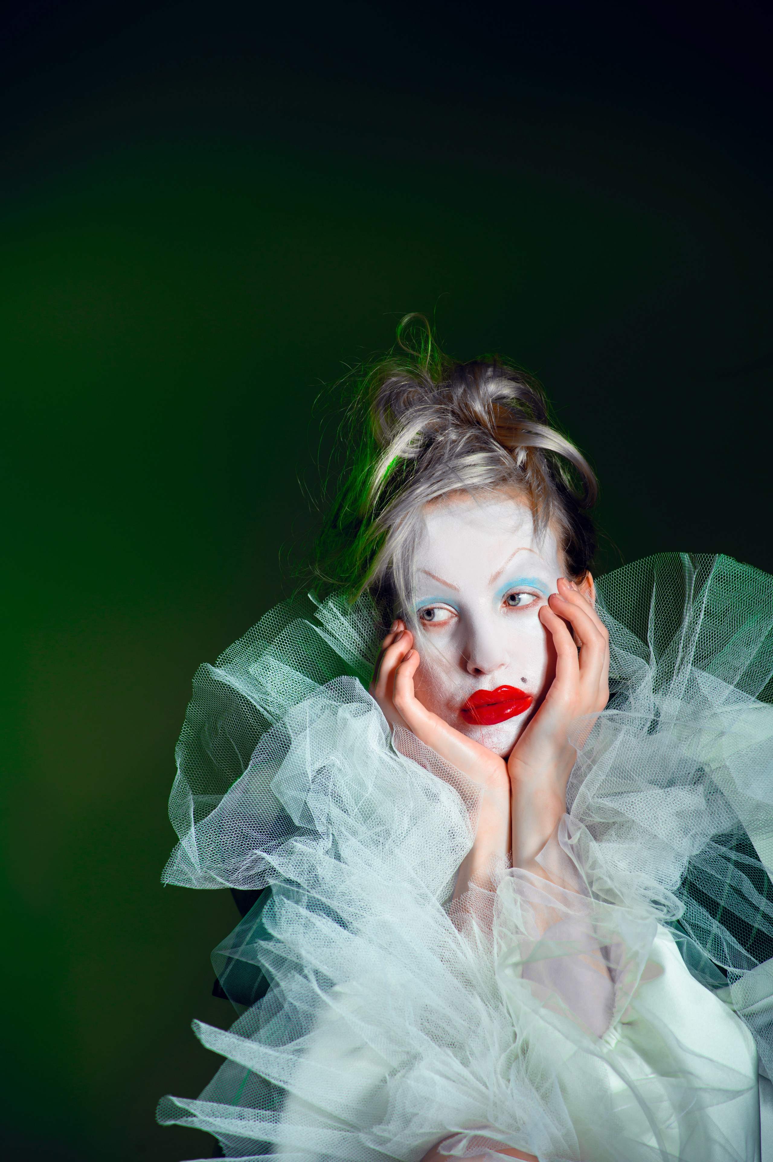 Дипломная работа СИНЬОР ПОМИДОР. дизайнер Анфиса Кечкина. Студийный и свадебный фотограф В городе Екатеринбург Ирина Мальта