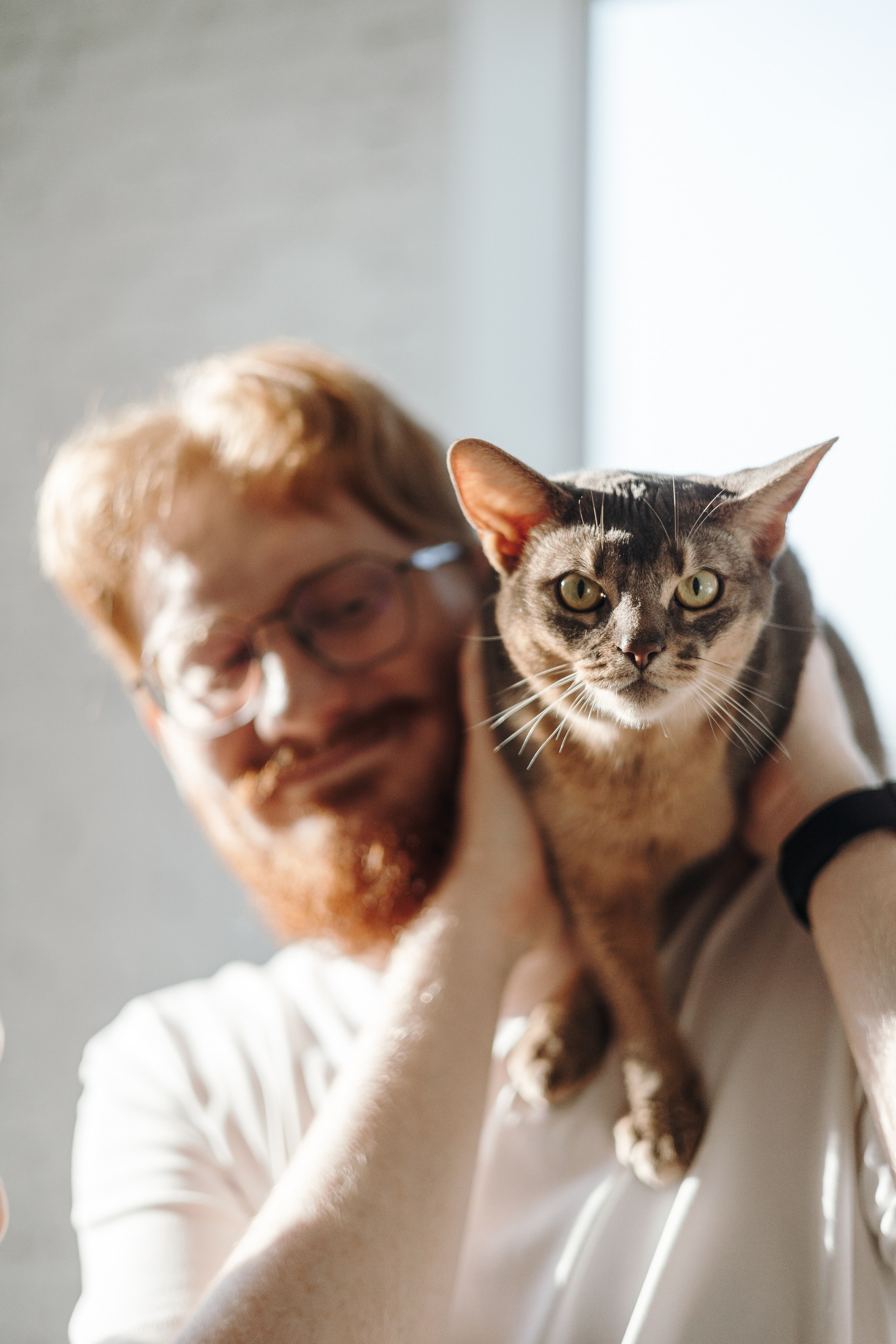 Циско и его семья. Фотограф — Анималист | Санкт-Петербург