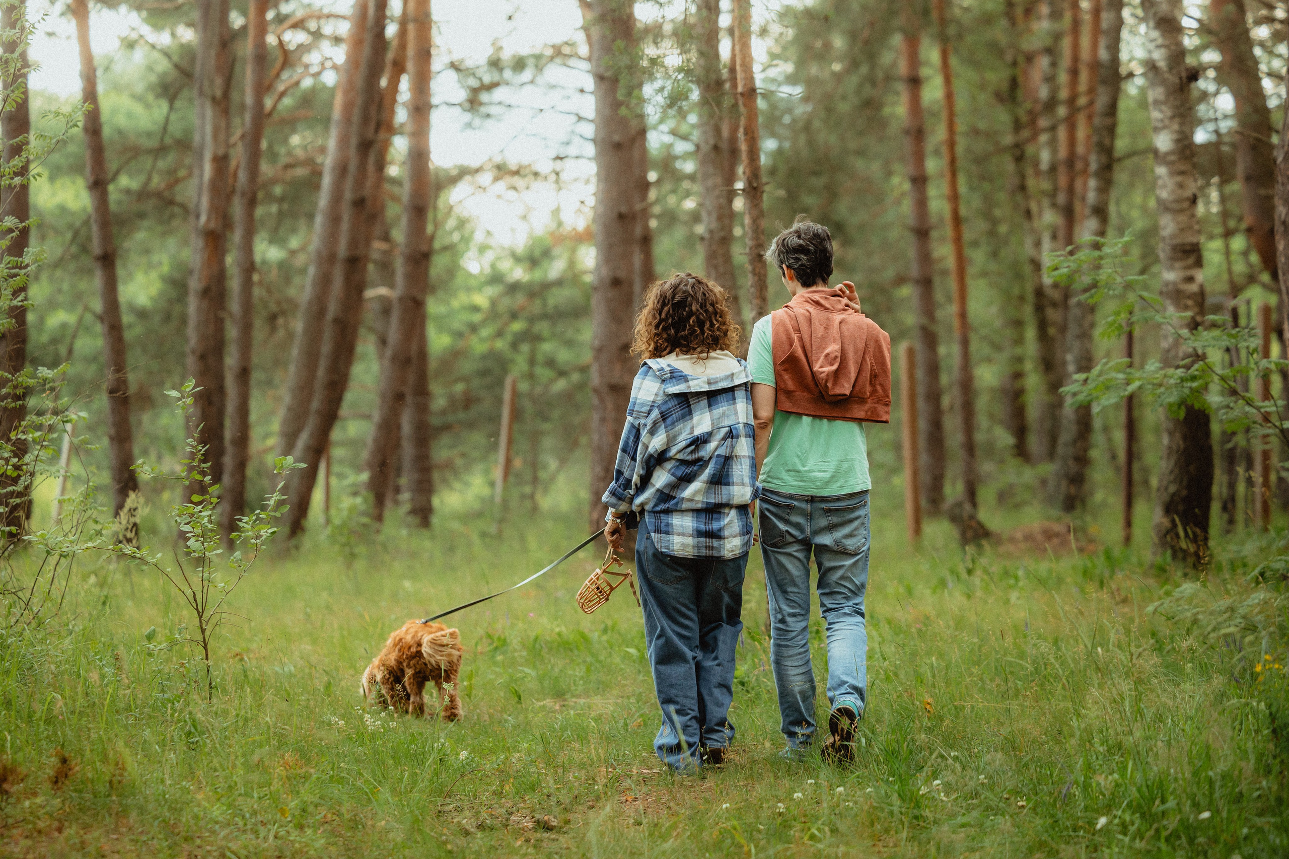 Выездной дог-тренинг от школы «Шерсть имею»