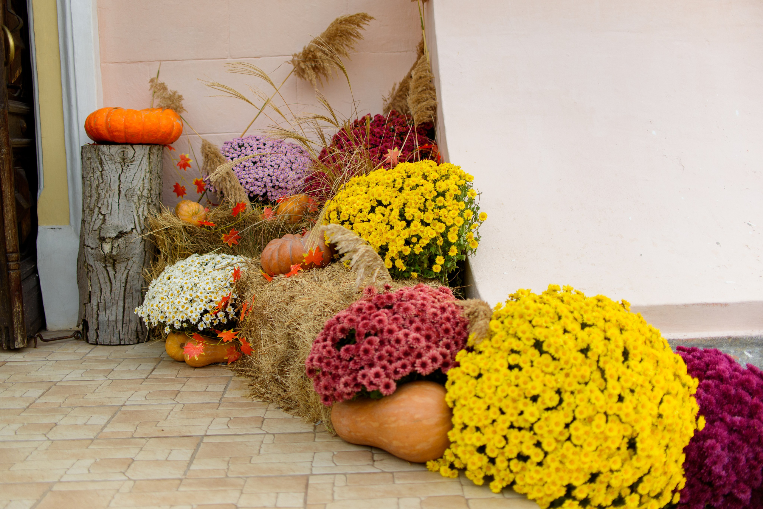 День памяти Казанской иконы Божьей Матери 4.11.2023. Семейный и свадебный фотограф в Феодосии и Коктебеле