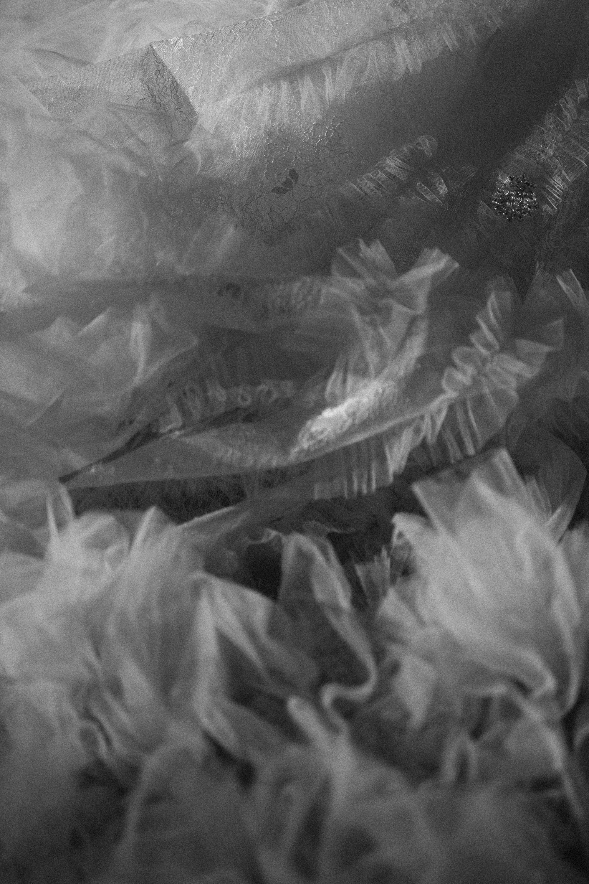 Bright Light. Свадебный фотограф Корощенко Екатерина