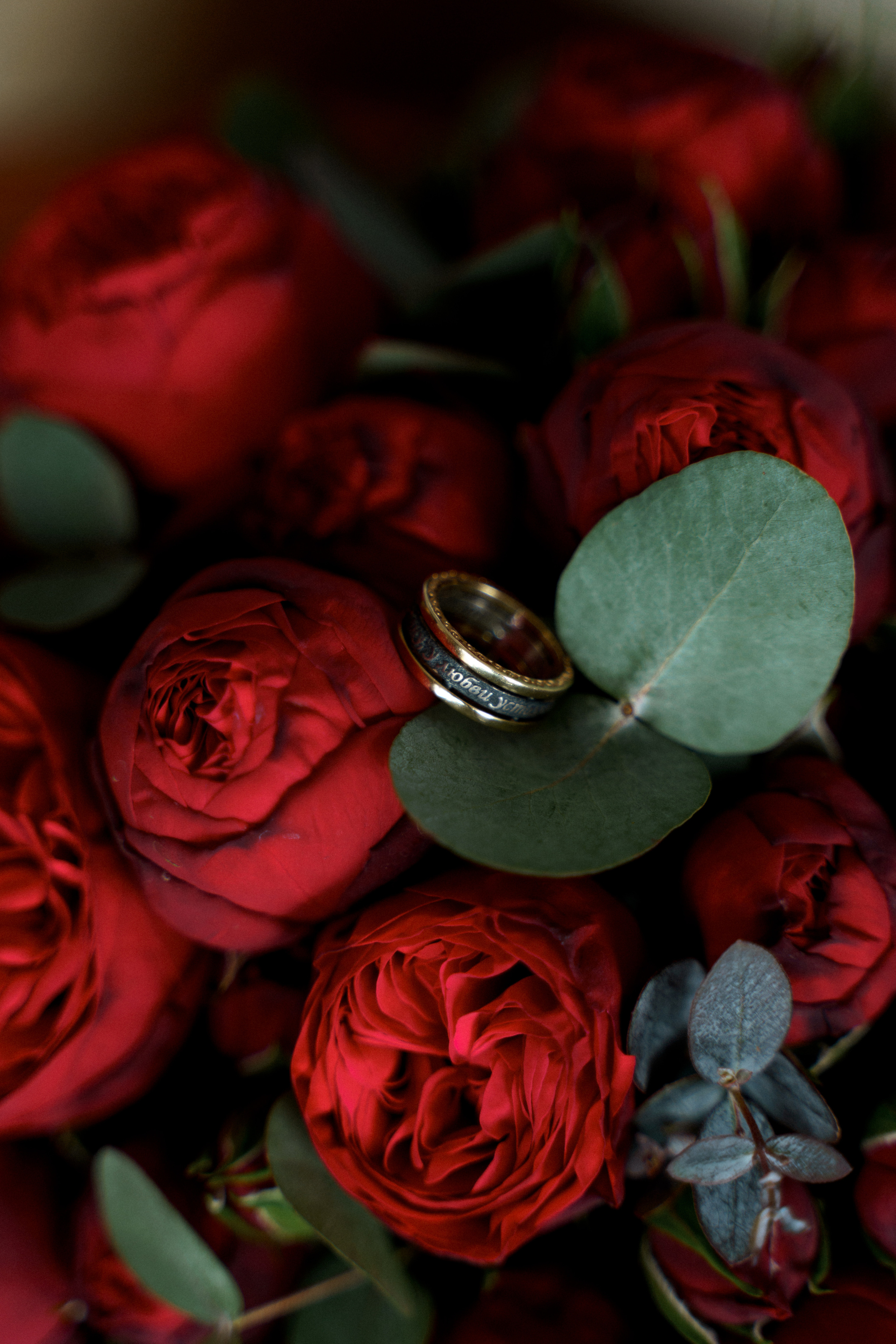 Вино и Лед. Свадебный фотограф Корощенко Екатерина