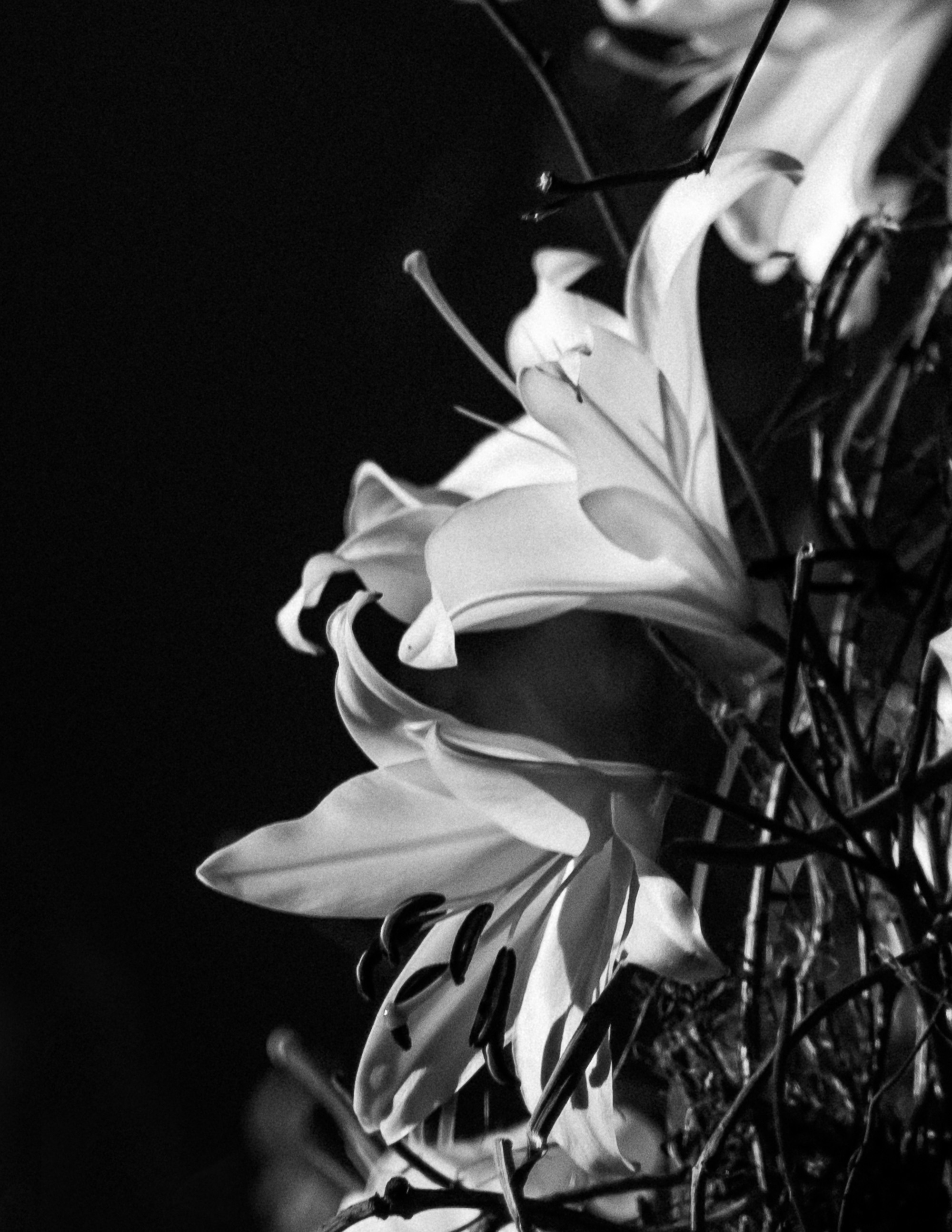 Bright Light. Свадебный фотограф Корощенко Екатерина