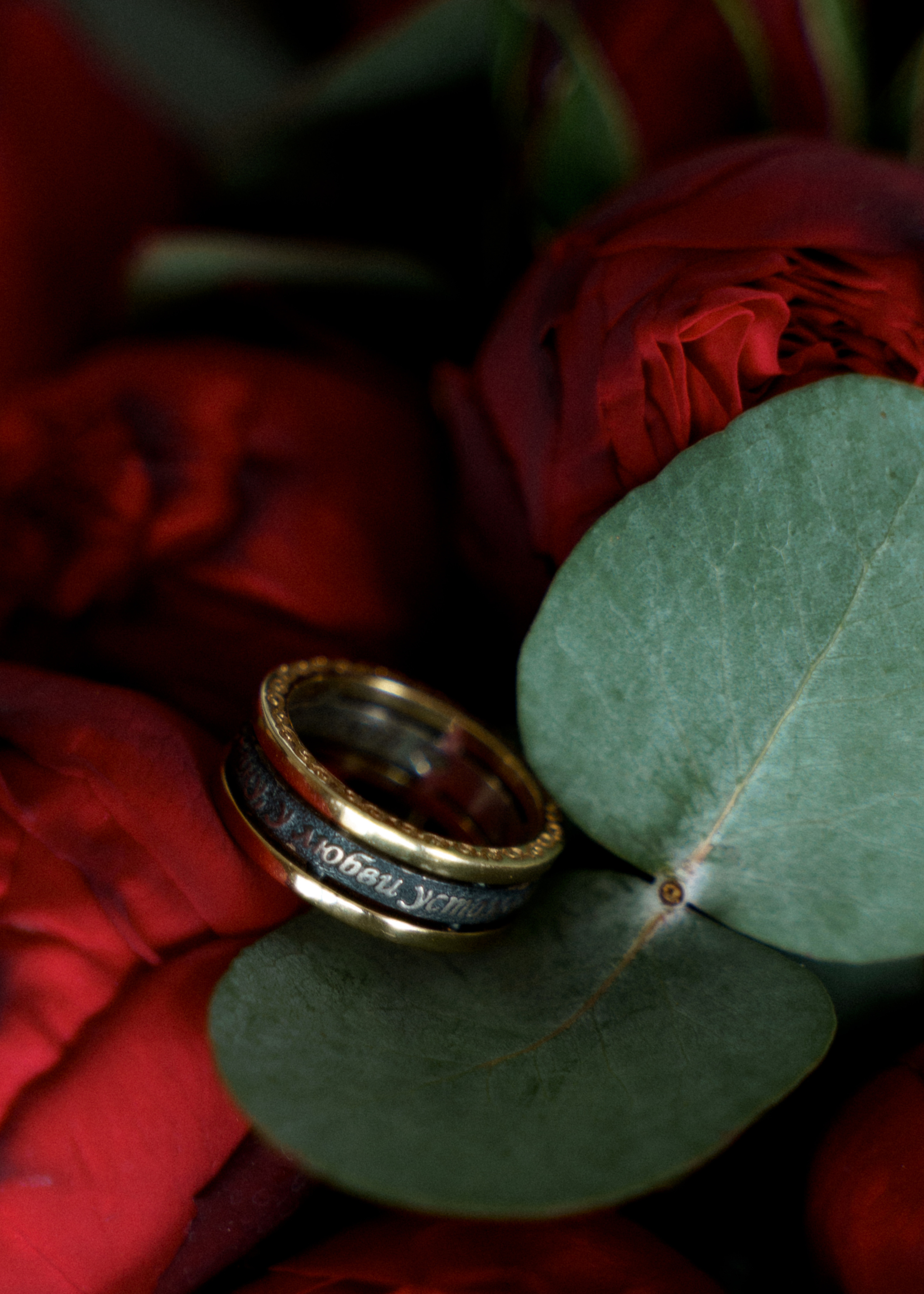 Вино и Лед. Свадебный фотограф Корощенко Екатерина