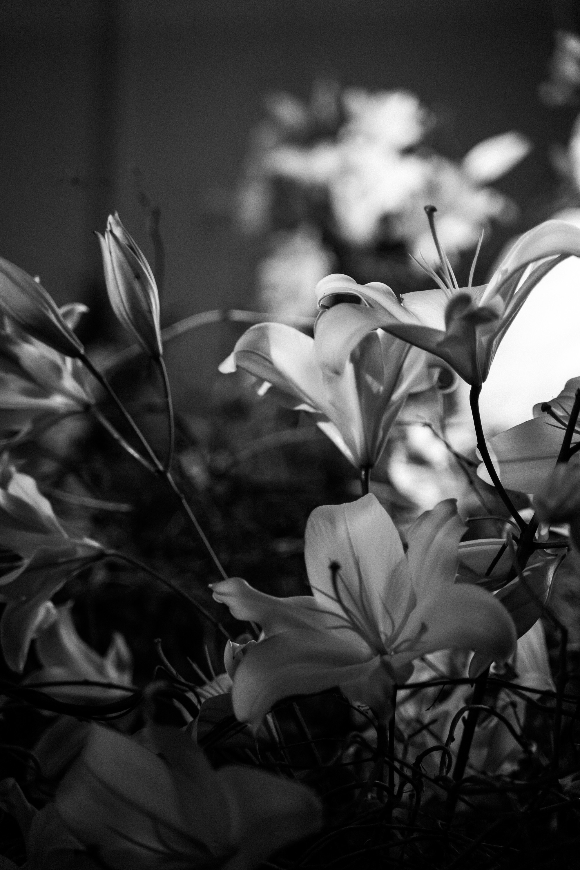 Bright Light. Свадебный фотограф Корощенко Екатерина