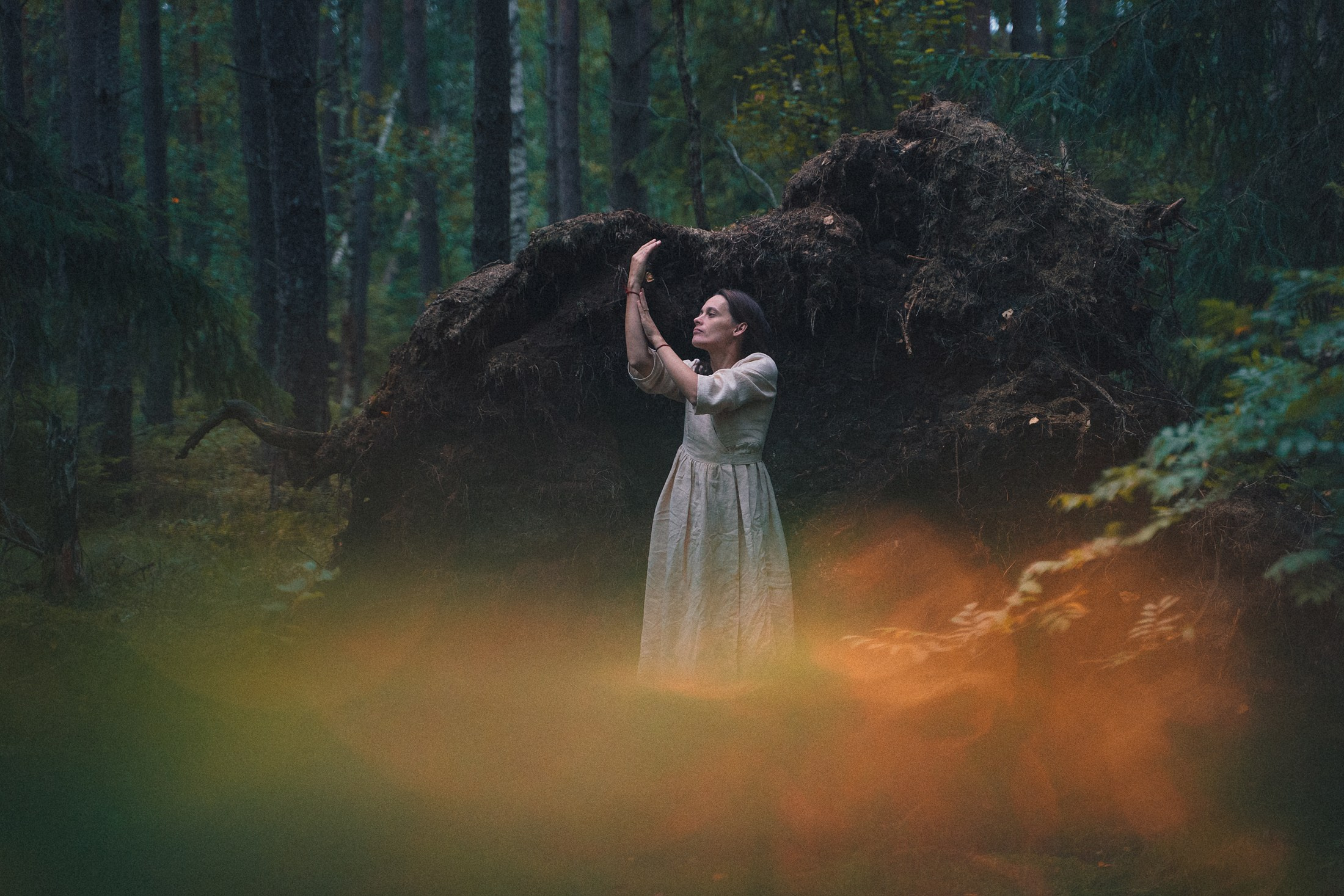 Наощупь. Алиса Аницкая