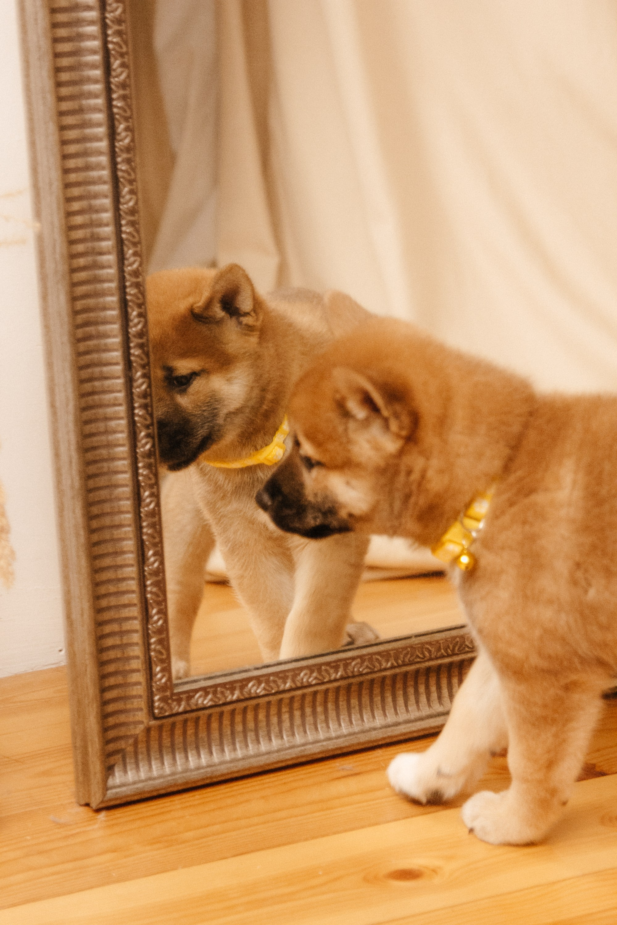 LOVE. Семейный фотограф Казань Никита Федин