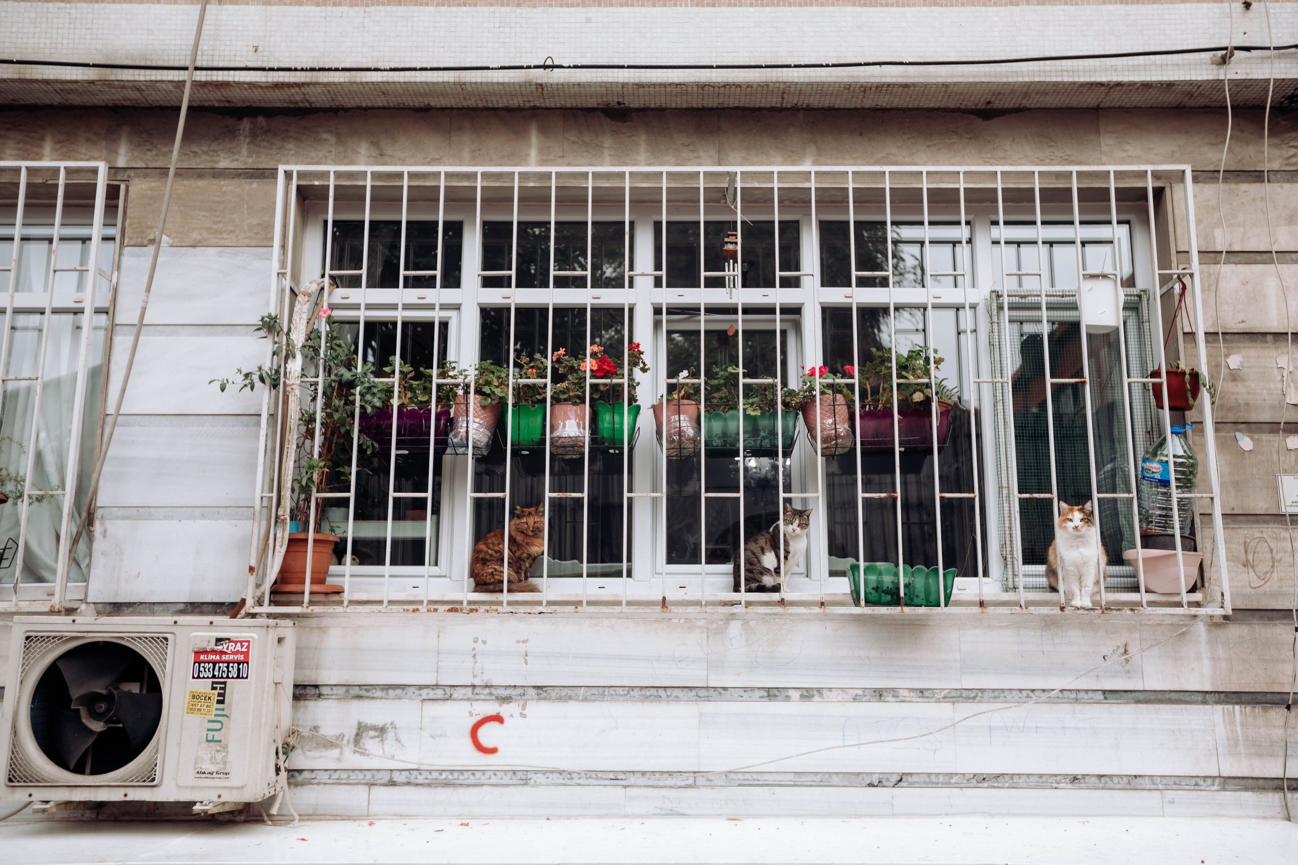 Istanbul. Katerina Spekhova